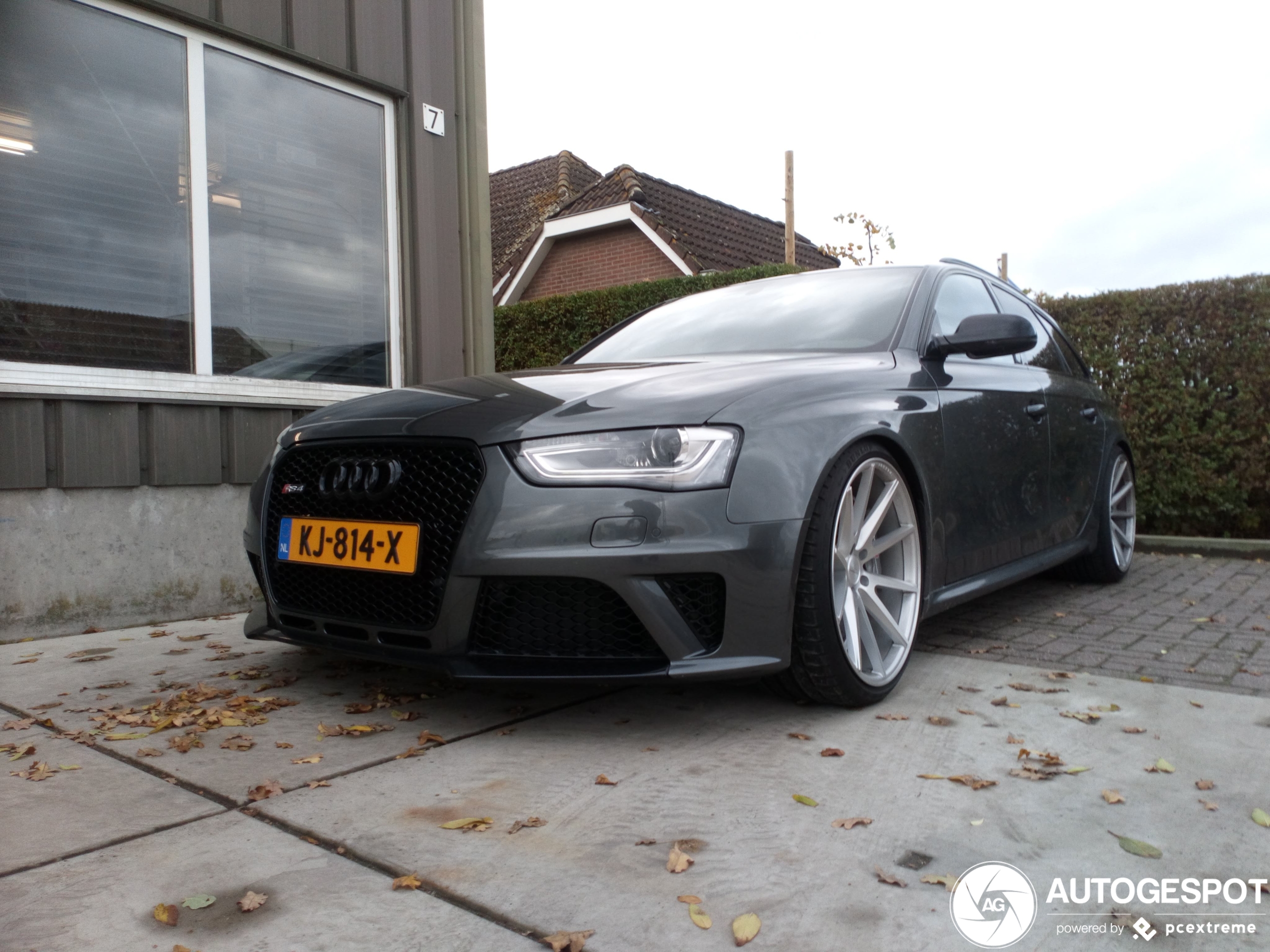 Audi RS4 Avant B8