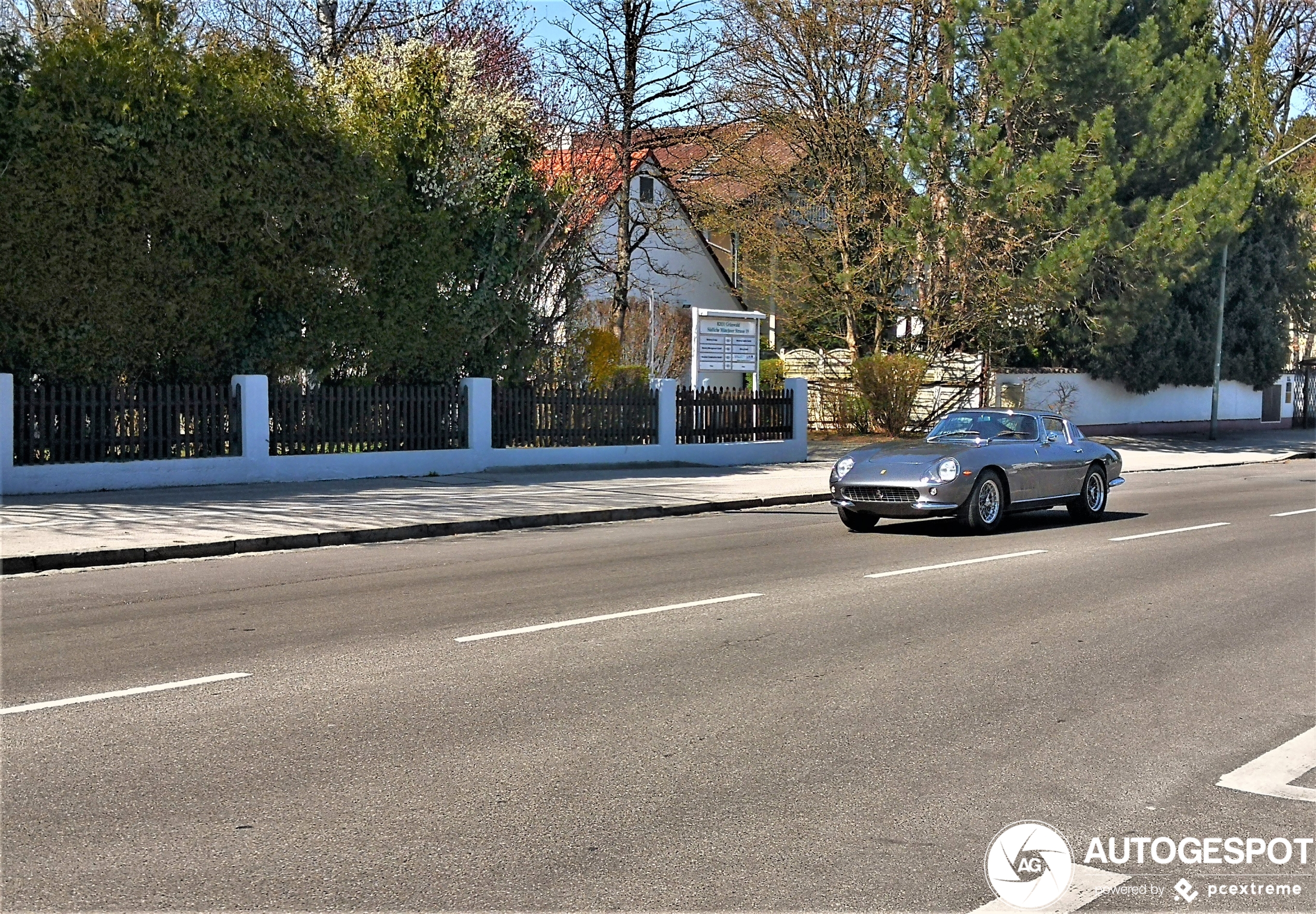 Ferrari 275 GTB Shortnose