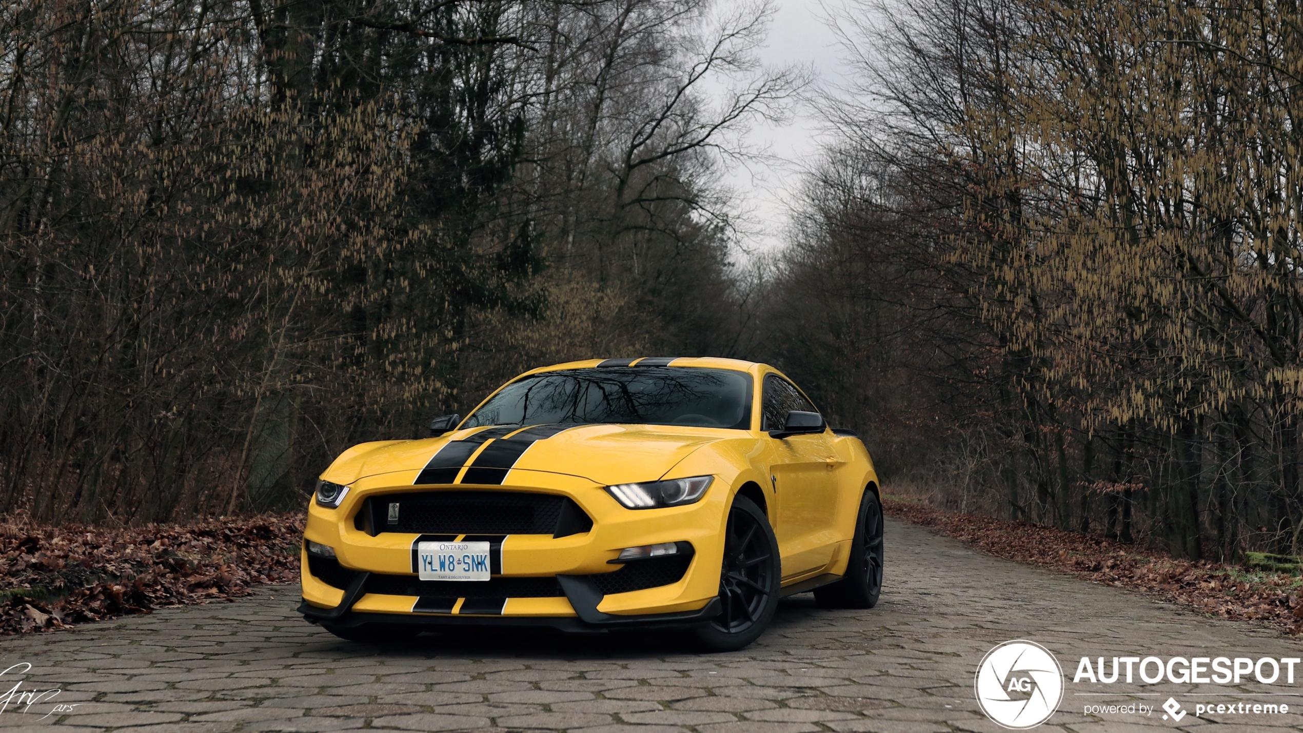 Ford Mustang Shelby GT350 2015