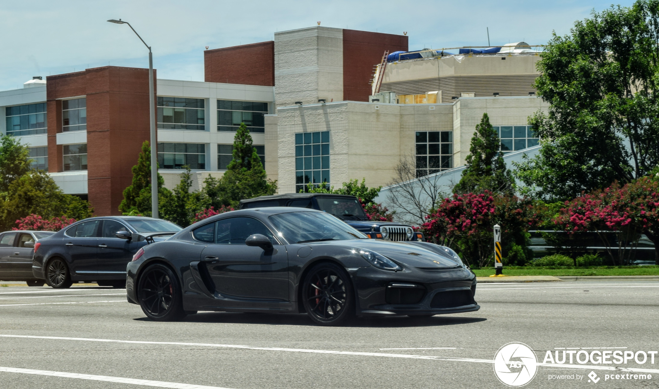 Porsche 981 Cayman GT4