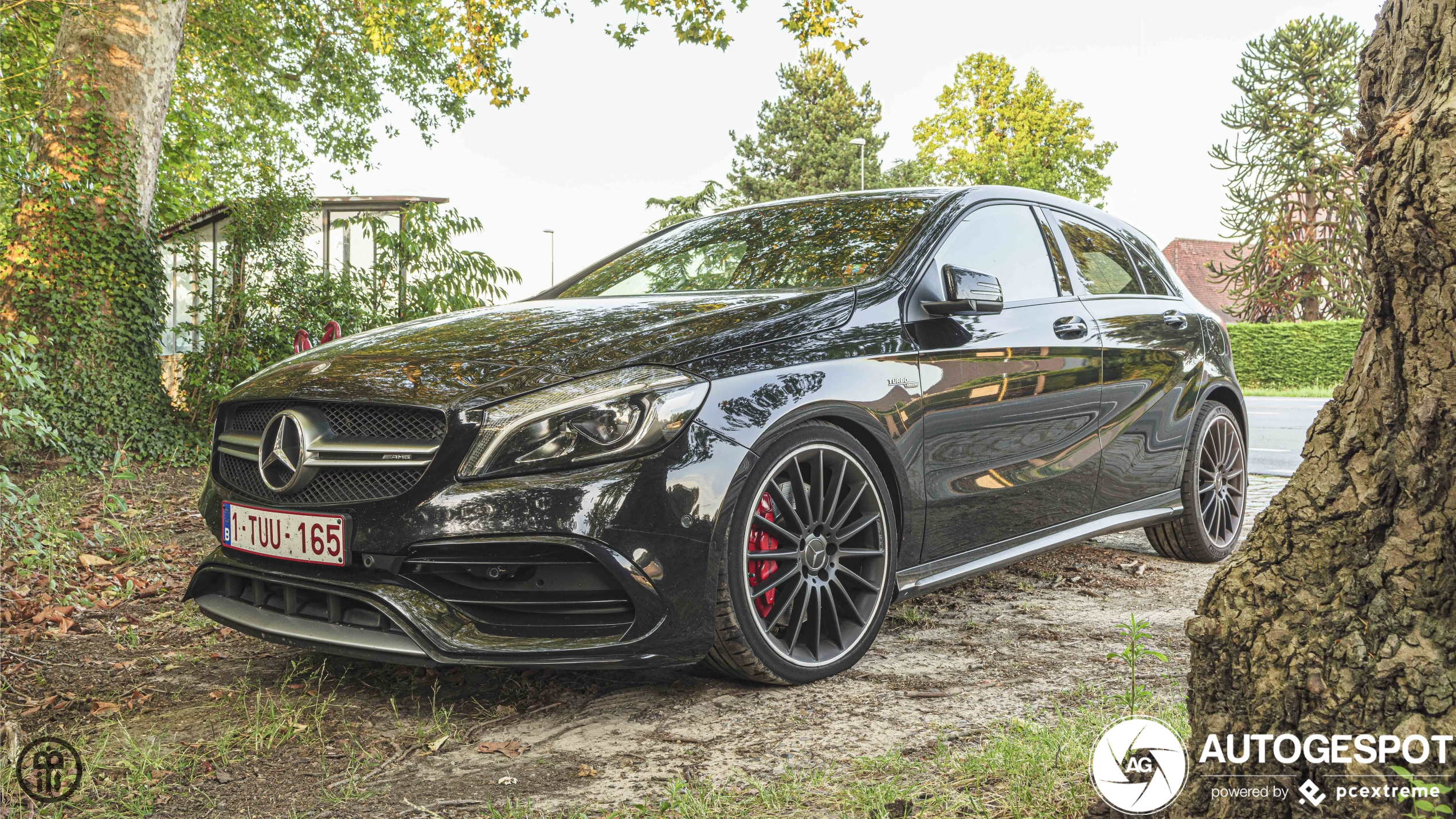 Mercedes-AMG A 45 W176 2015