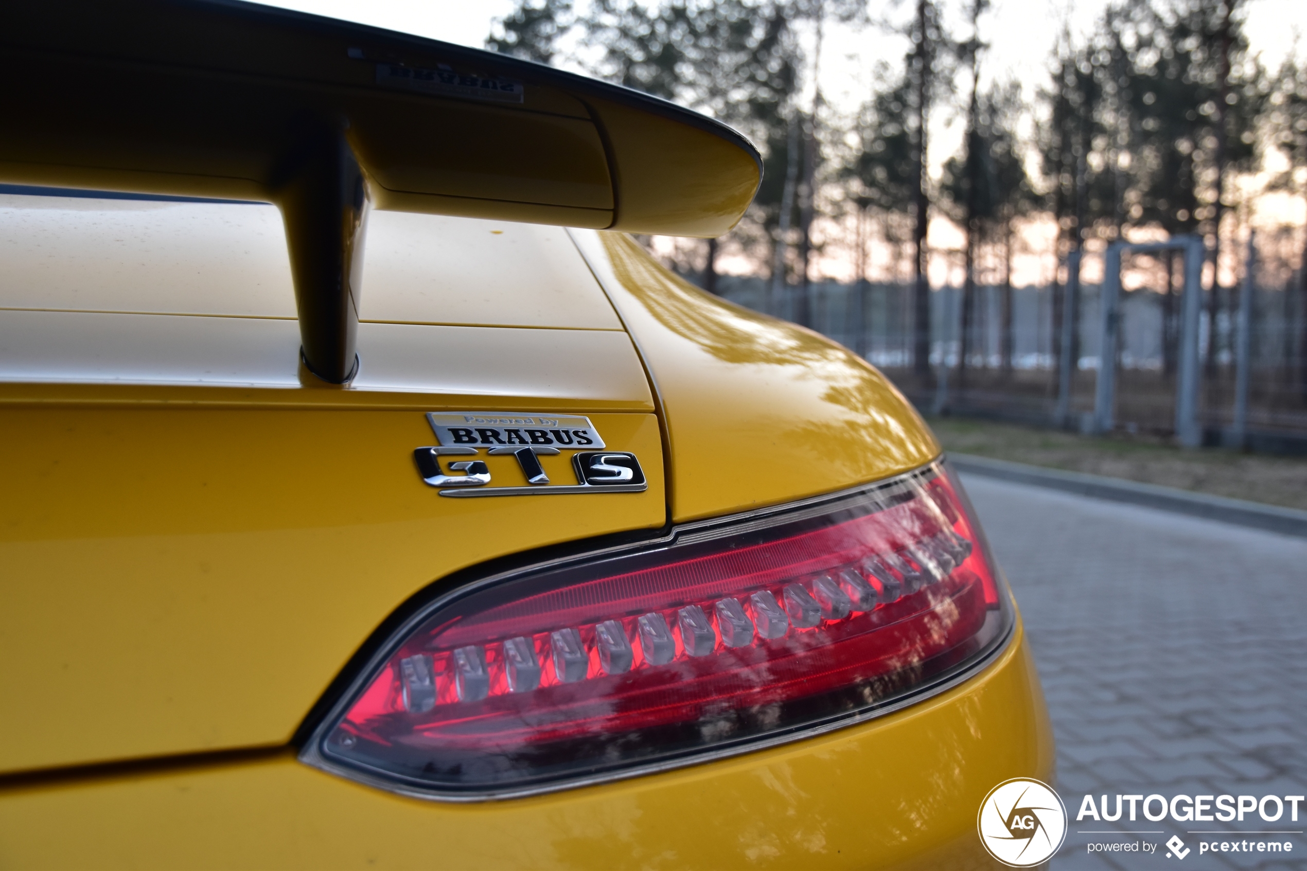 Mercedes-AMG GT S C190 Edition 1