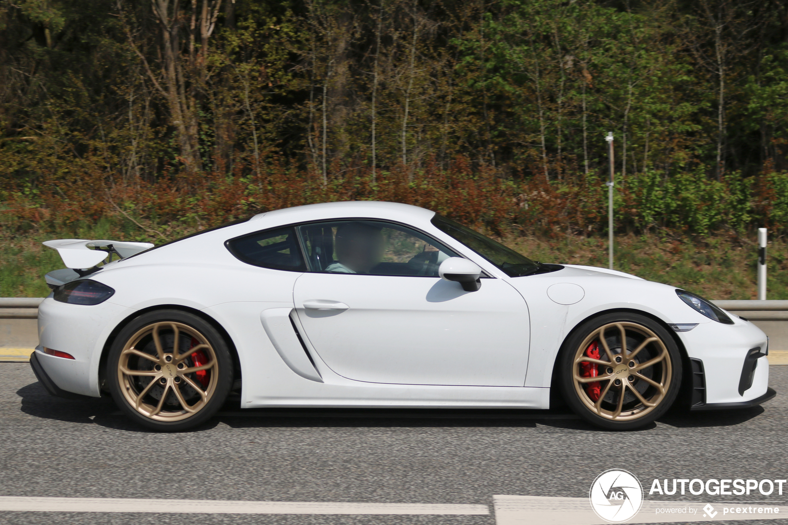 Porsche 718 Cayman GT4