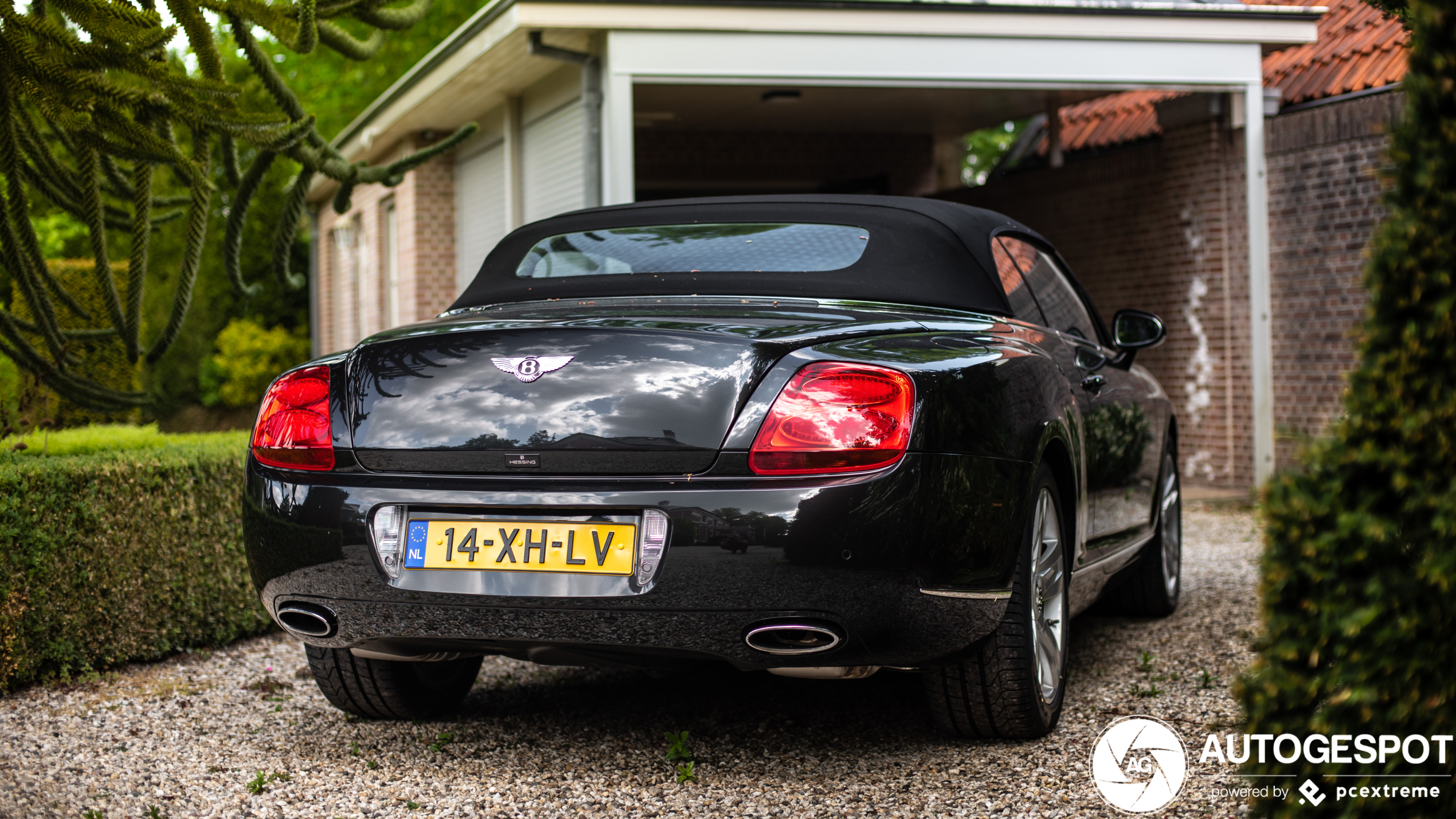 Bentley Continental GTC