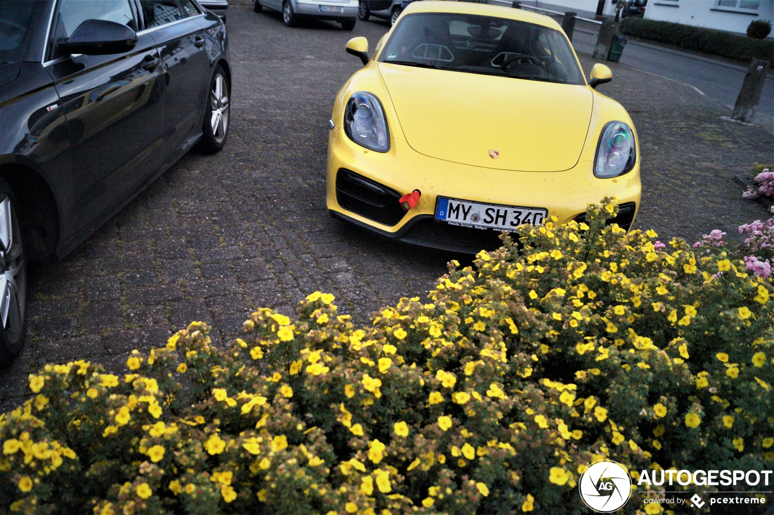 Porsche 981 Cayman GTS