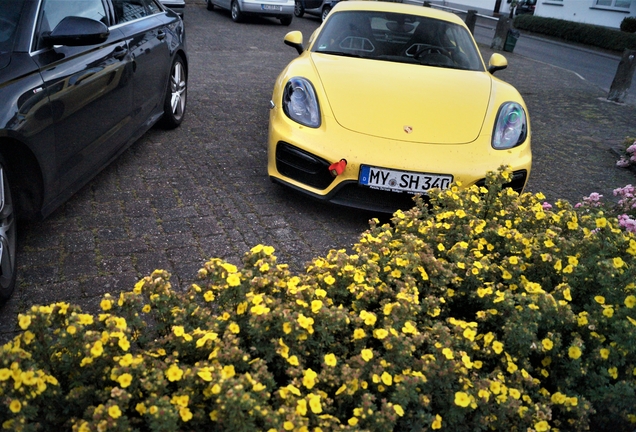 Porsche 981 Cayman GTS