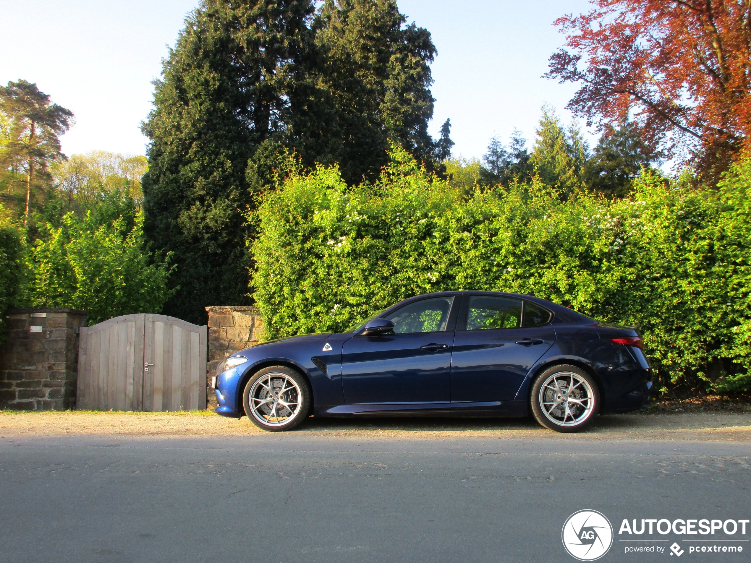 Alfa Romeo Giulia Quadrifoglio