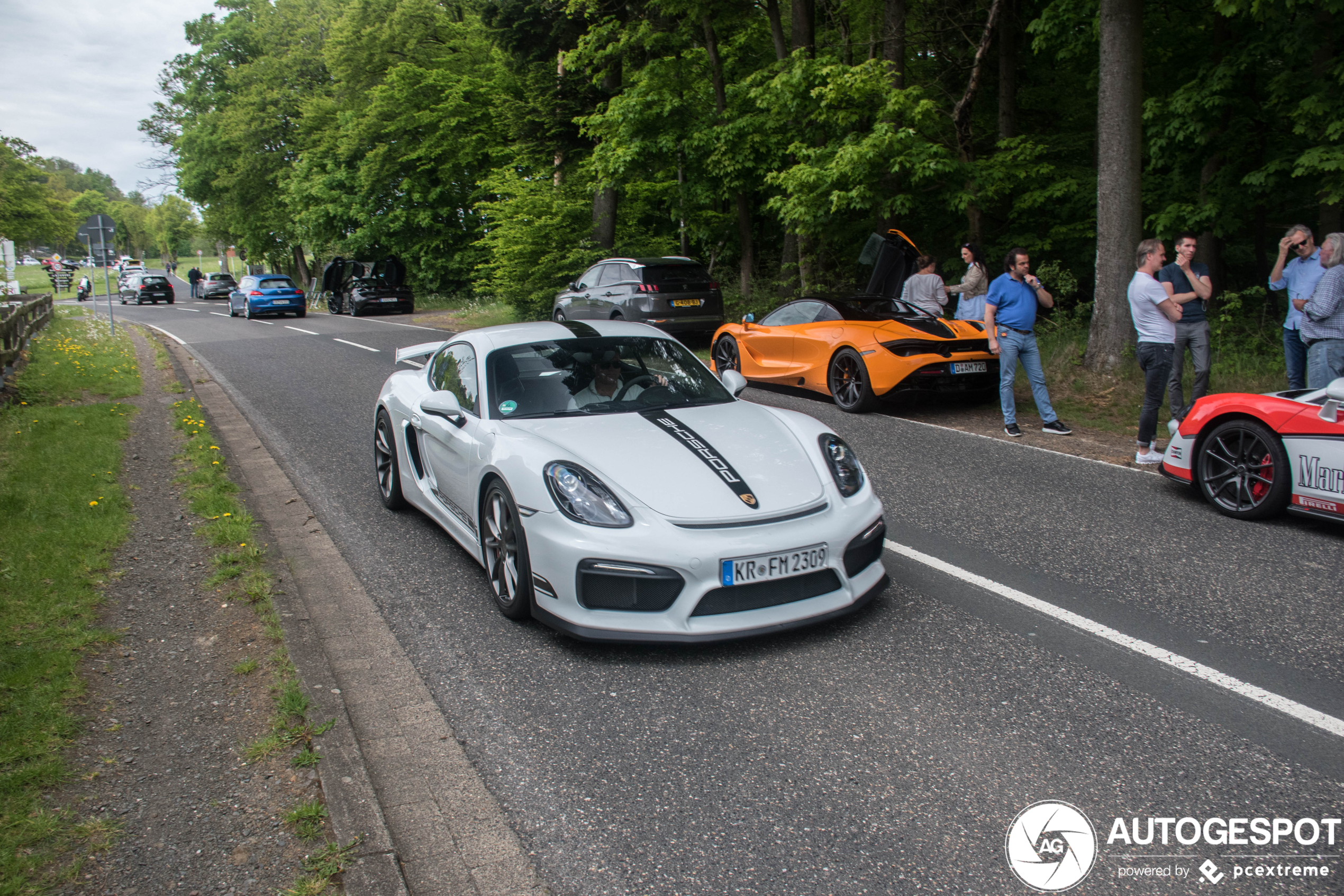 Porsche 981 Cayman GT4