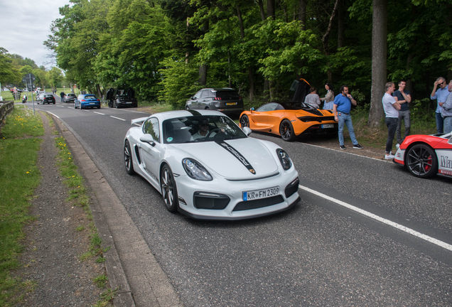 Porsche 981 Cayman GT4