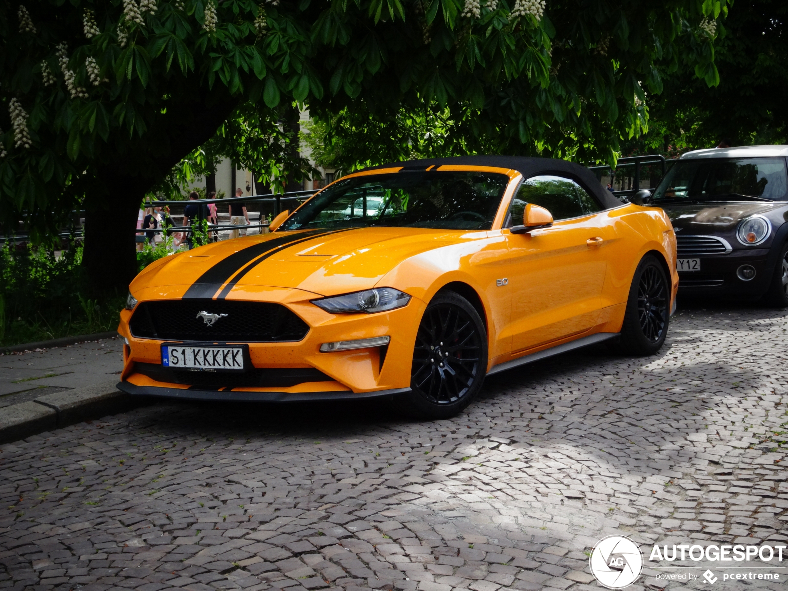 Ford Mustang GT Convertible 2018