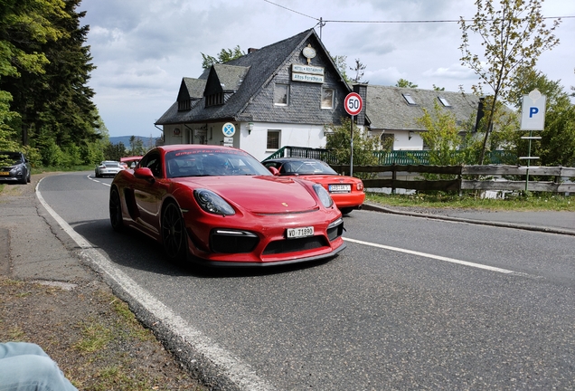 Porsche 981 Cayman GT4