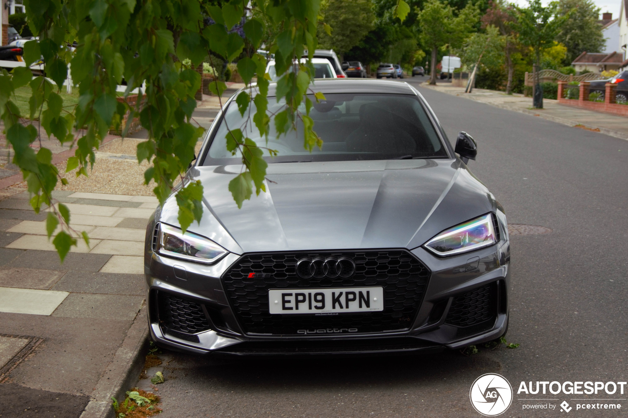 Audi RS5 Sportback B9