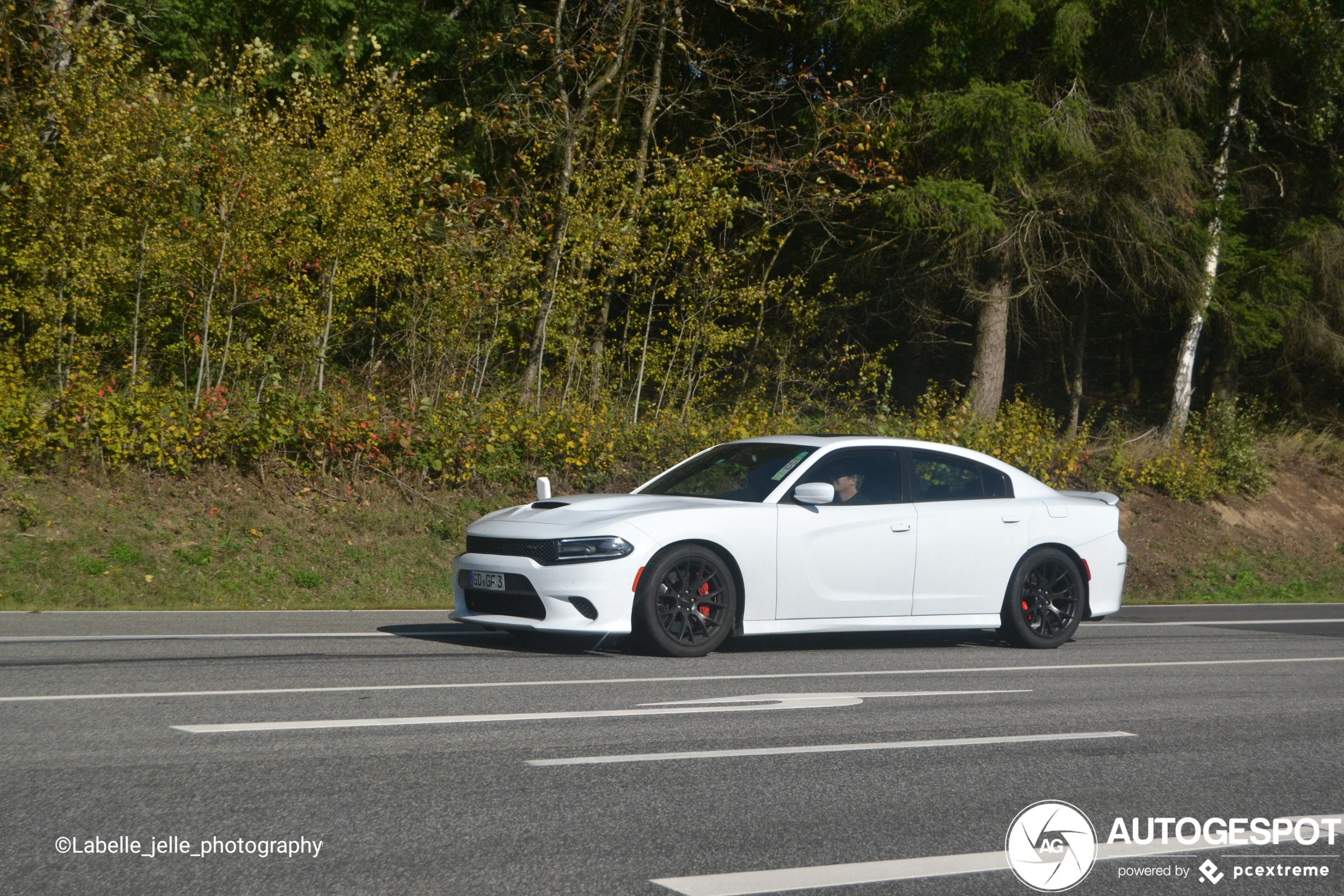 Dodge Charger SRT 392 2015