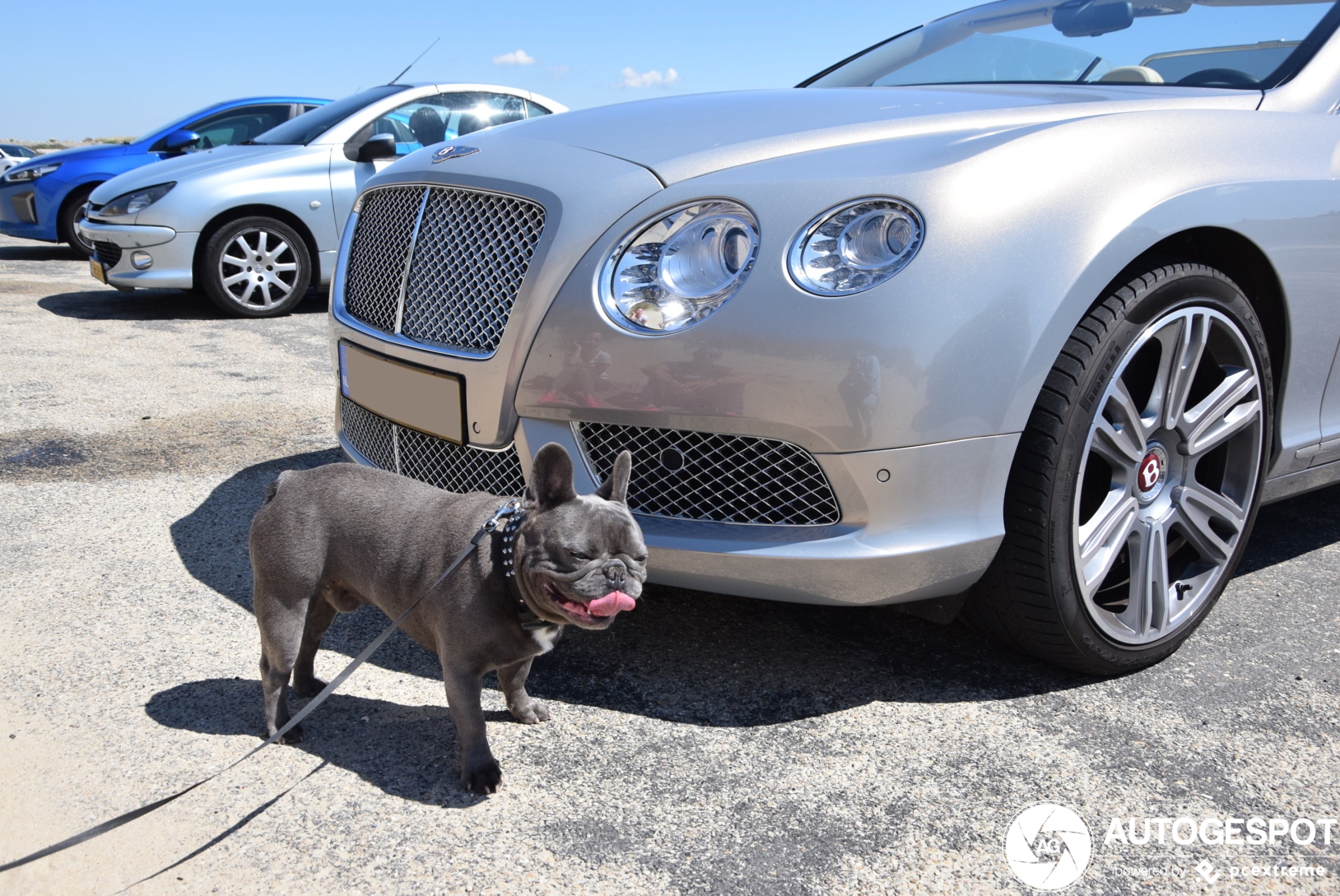 Bentley Continental GTC V8