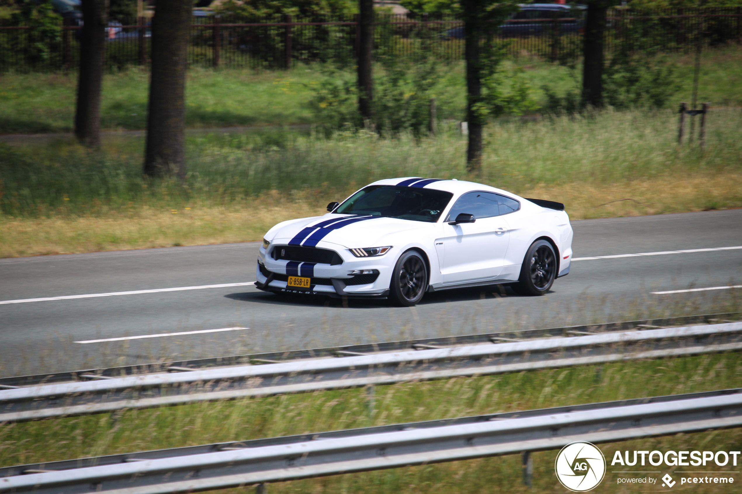 Ford Mustang Shelby GT350 2015