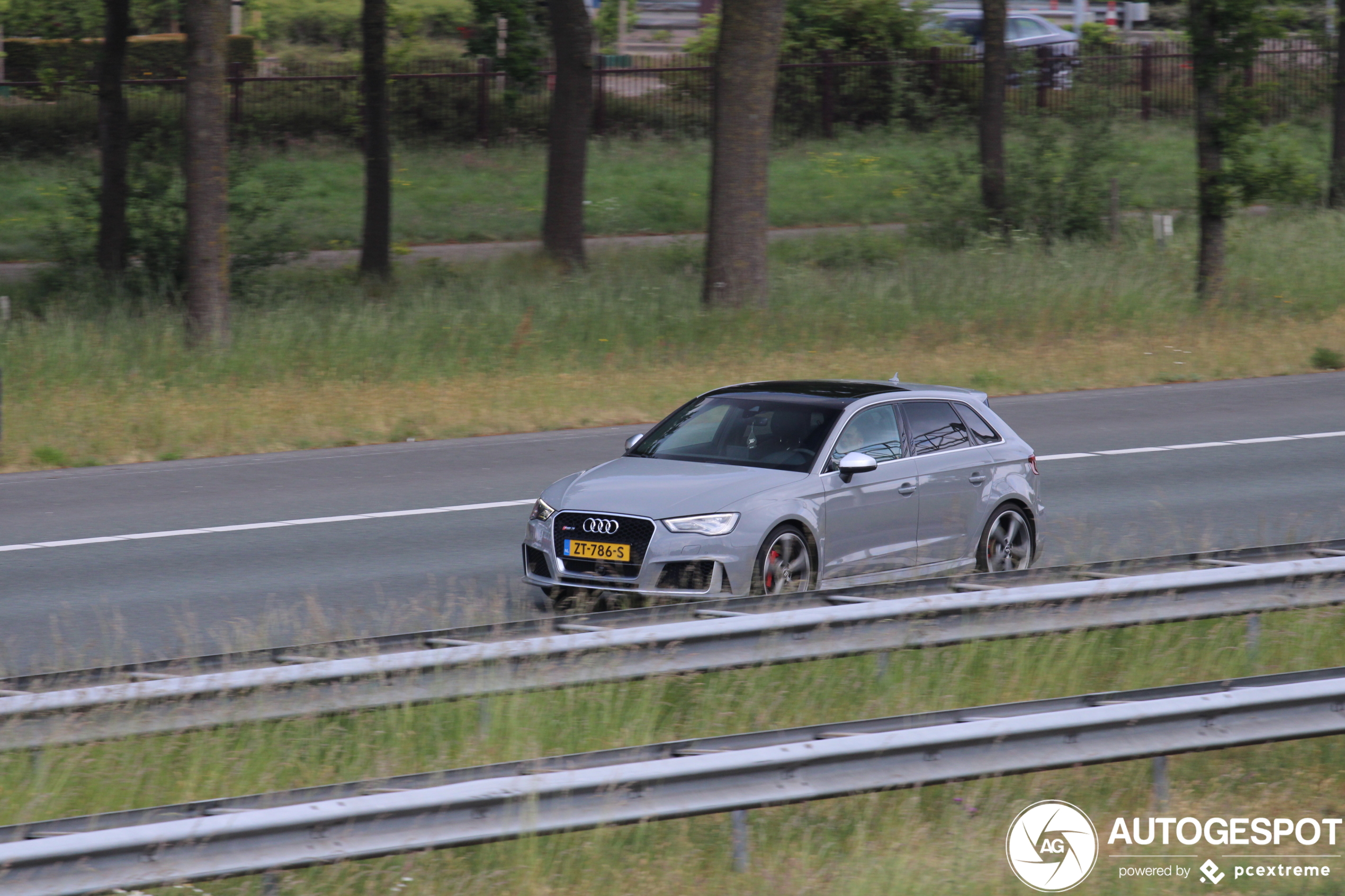 Audi RS3 Sportback 8V