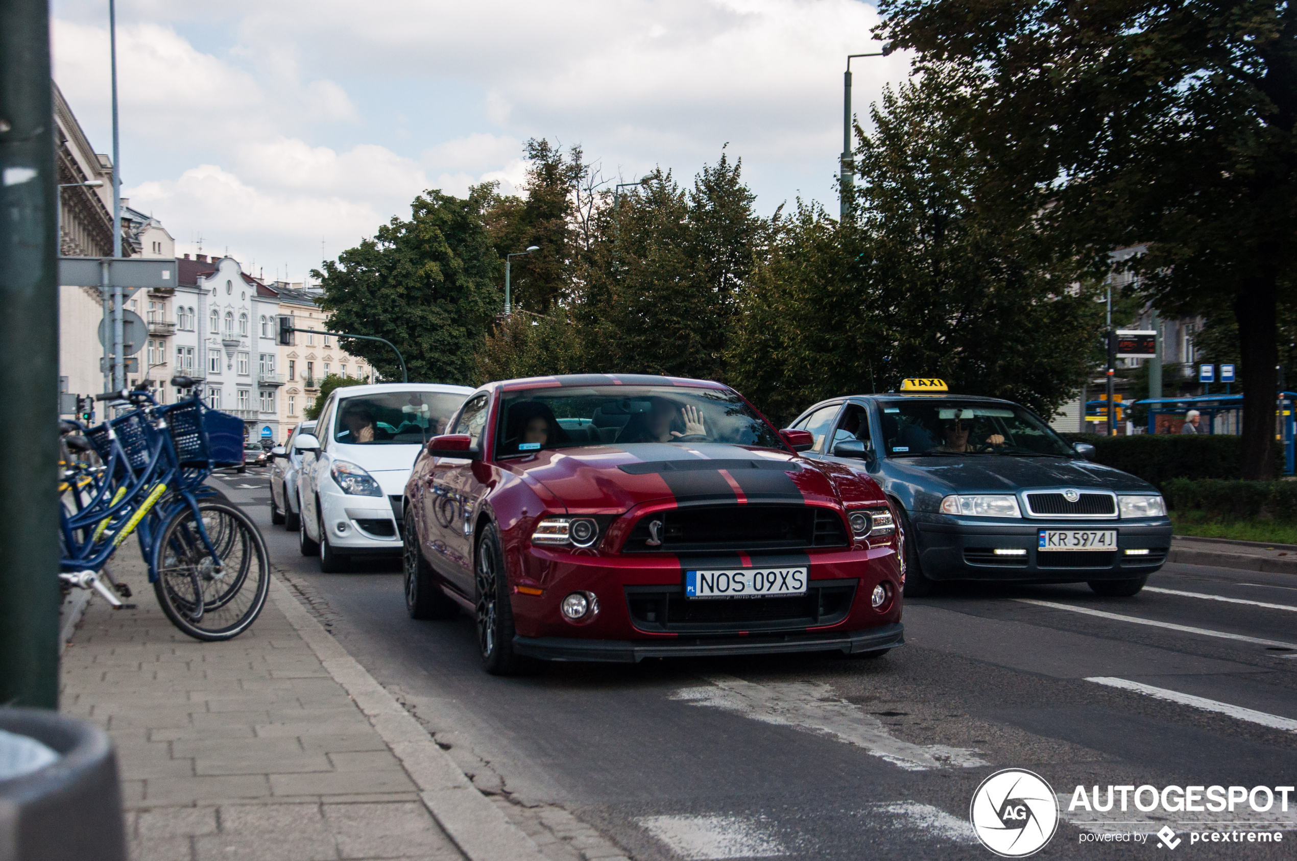 Ford Mustang Shelby GT500 2013