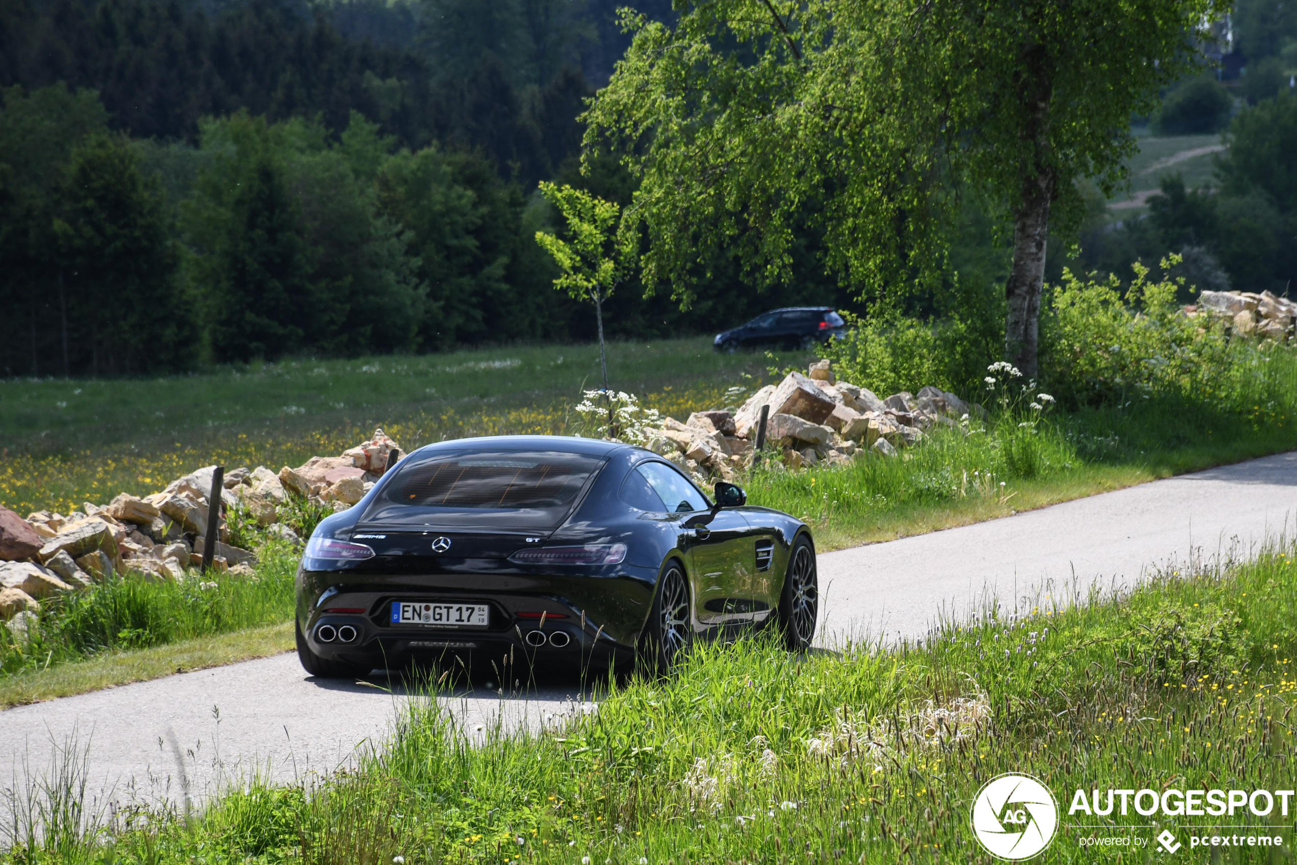 Mercedes-AMG GT C190 2019