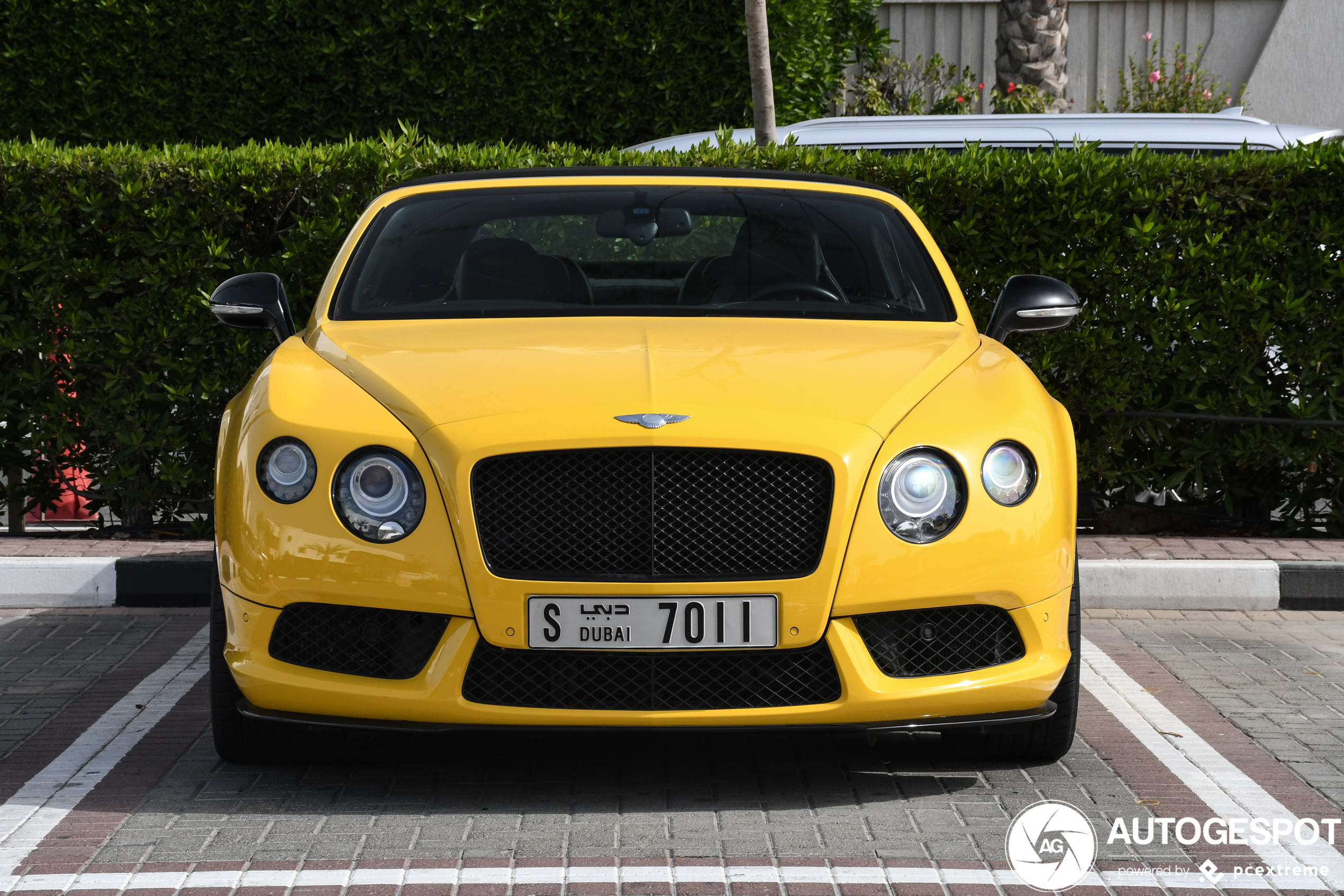 Bentley Continental GTC V8 S