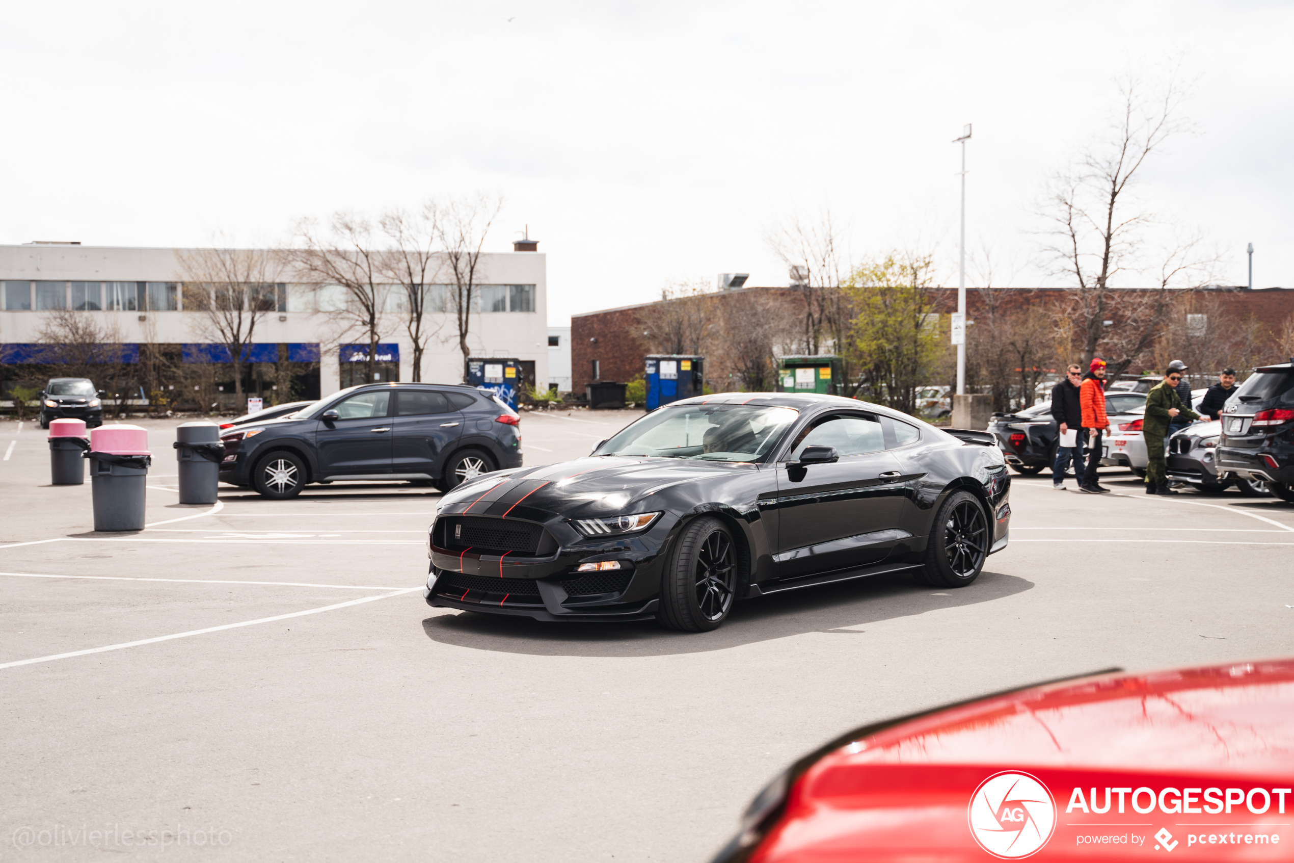 Ford Mustang Shelby GT350 2015