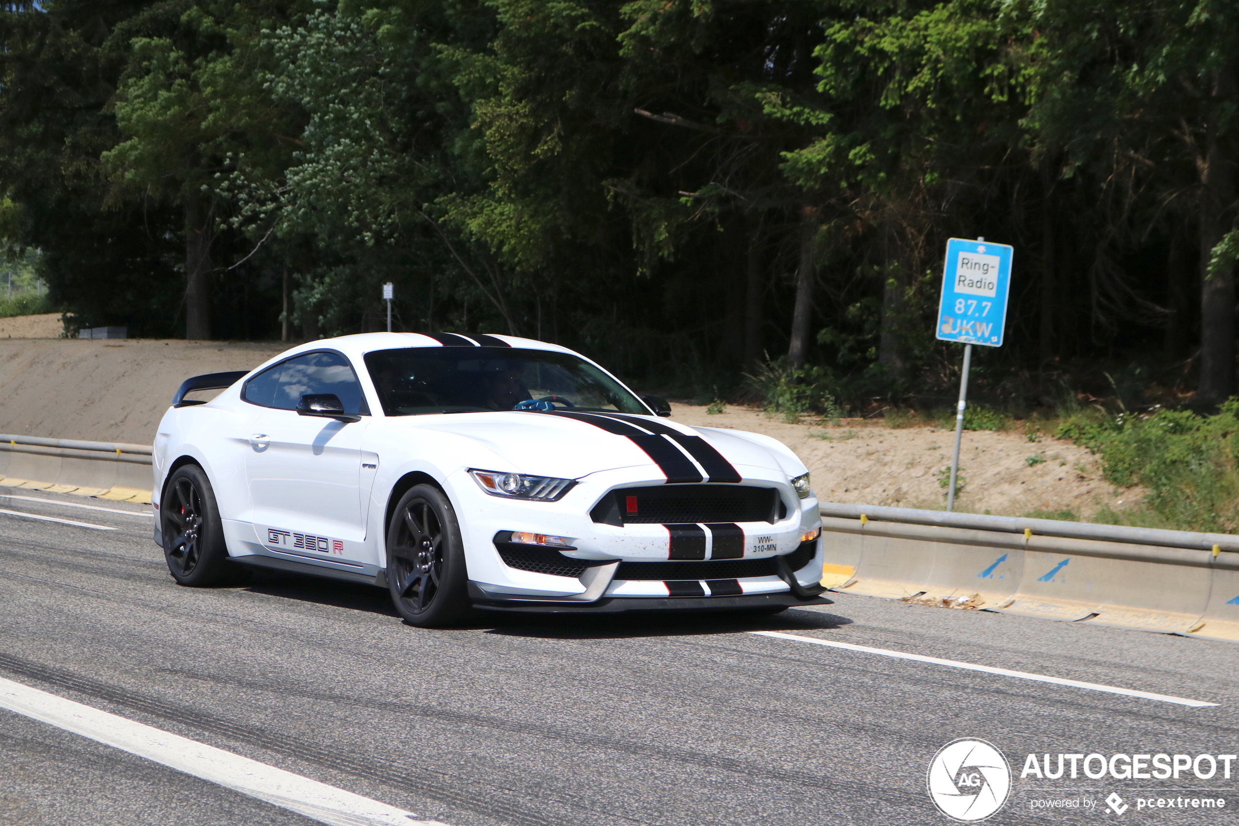 Ford Mustang Shelby GT350R 2015