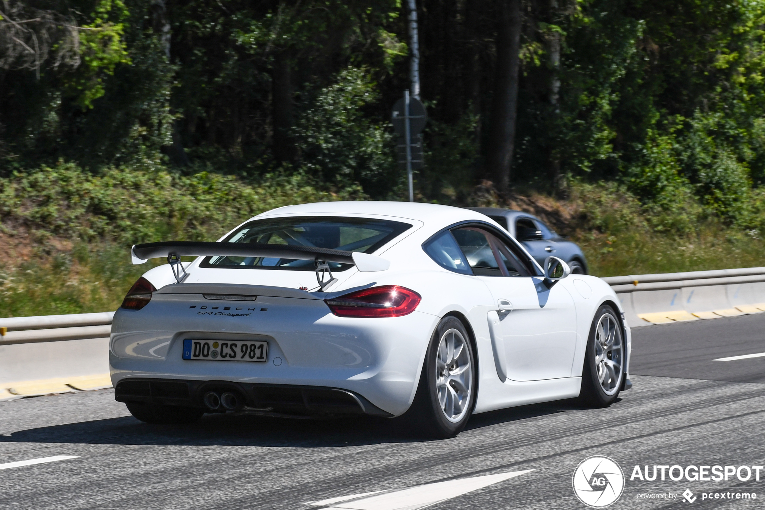 Porsche 981 Cayman GT4 Clubsport