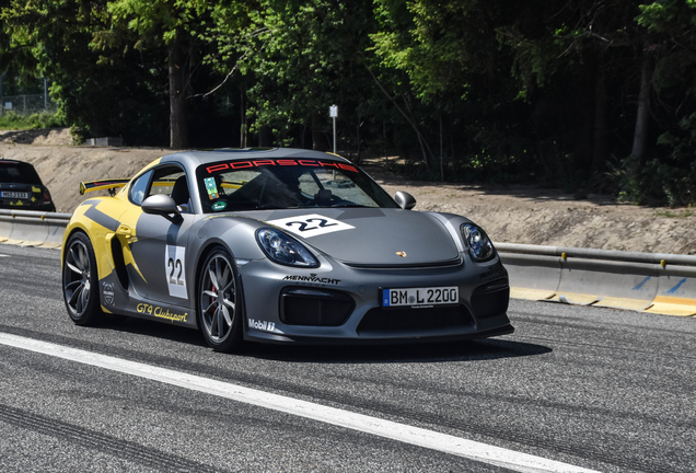 Porsche 981 Cayman GT4