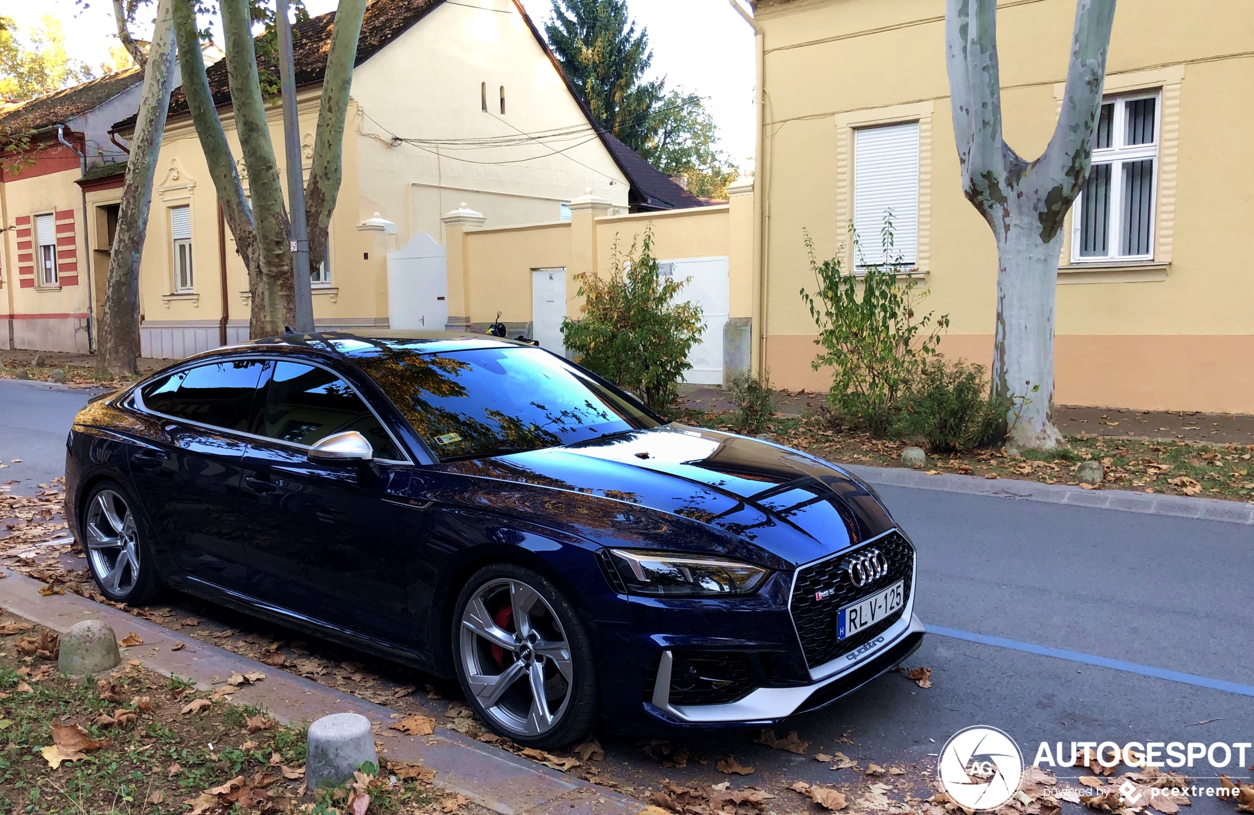 Audi RS5 Sportback B9