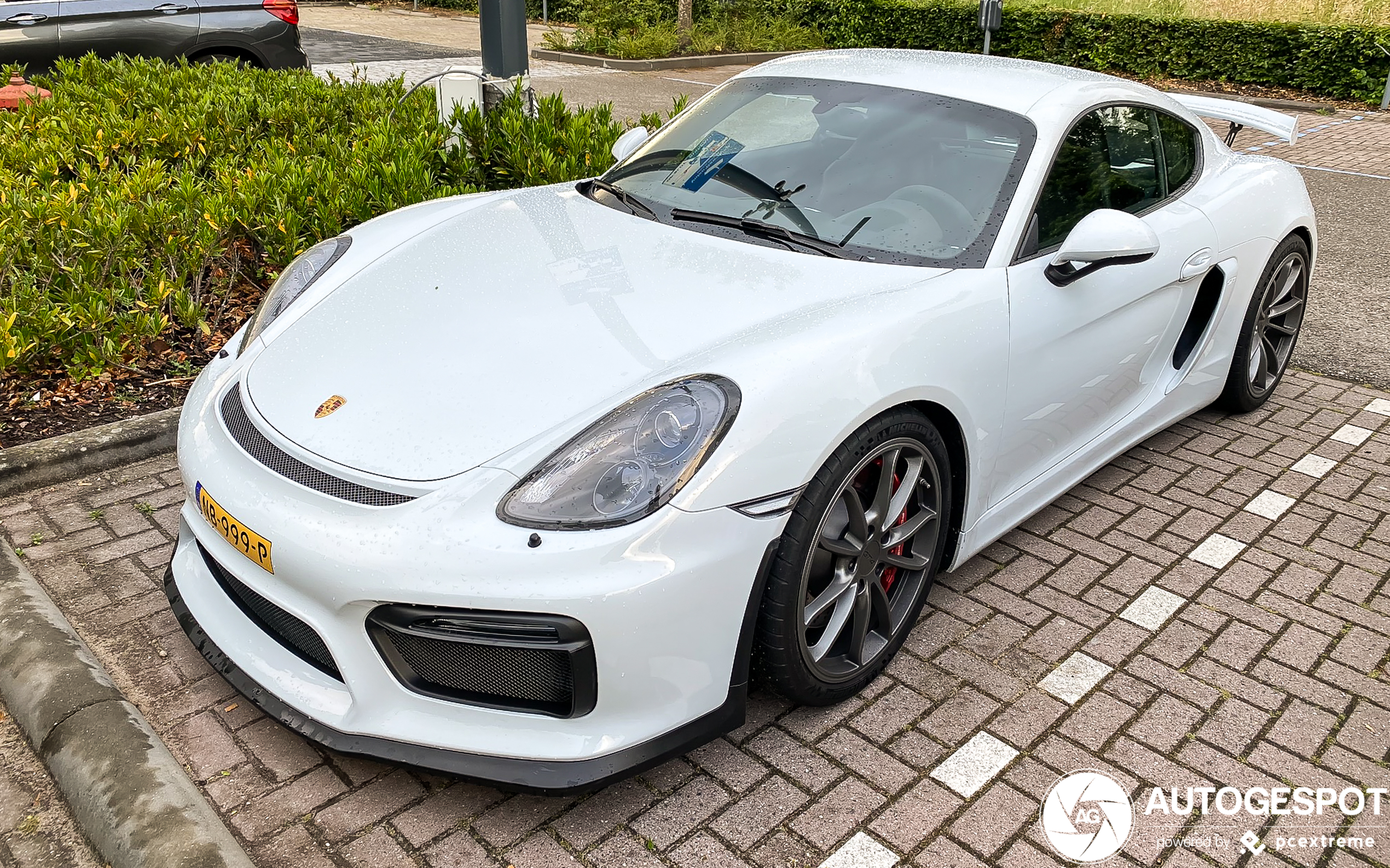 Porsche 981 Cayman GT4