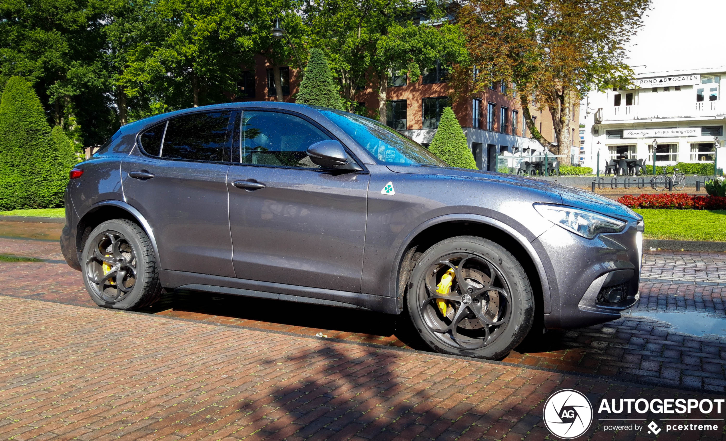 Alfa Romeo Stelvio Quadrifoglio