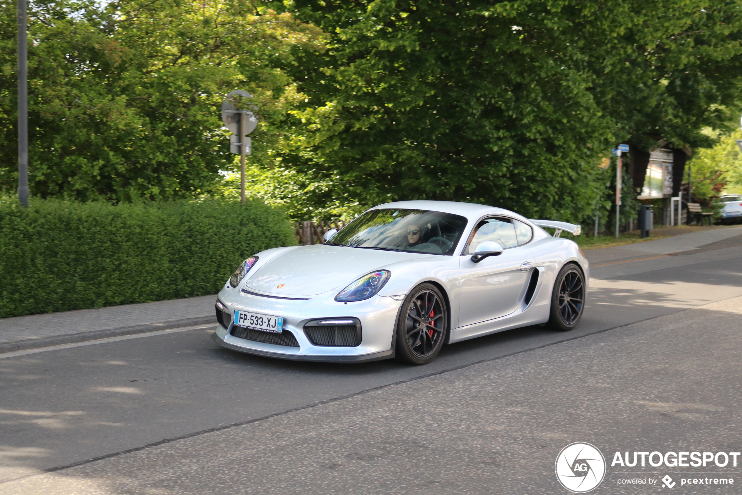 Porsche 981 Cayman GT4