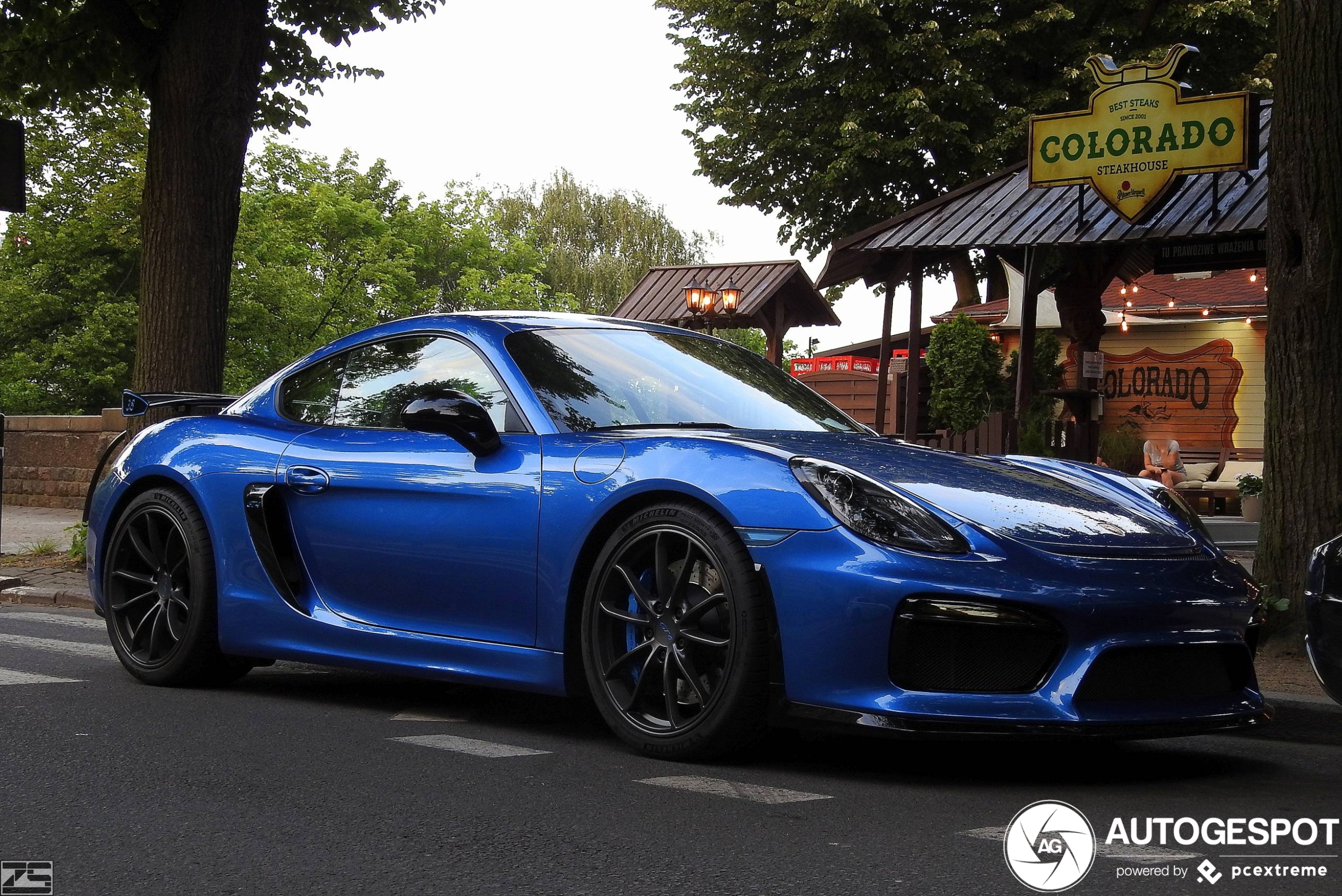 Porsche 981 Cayman GT4