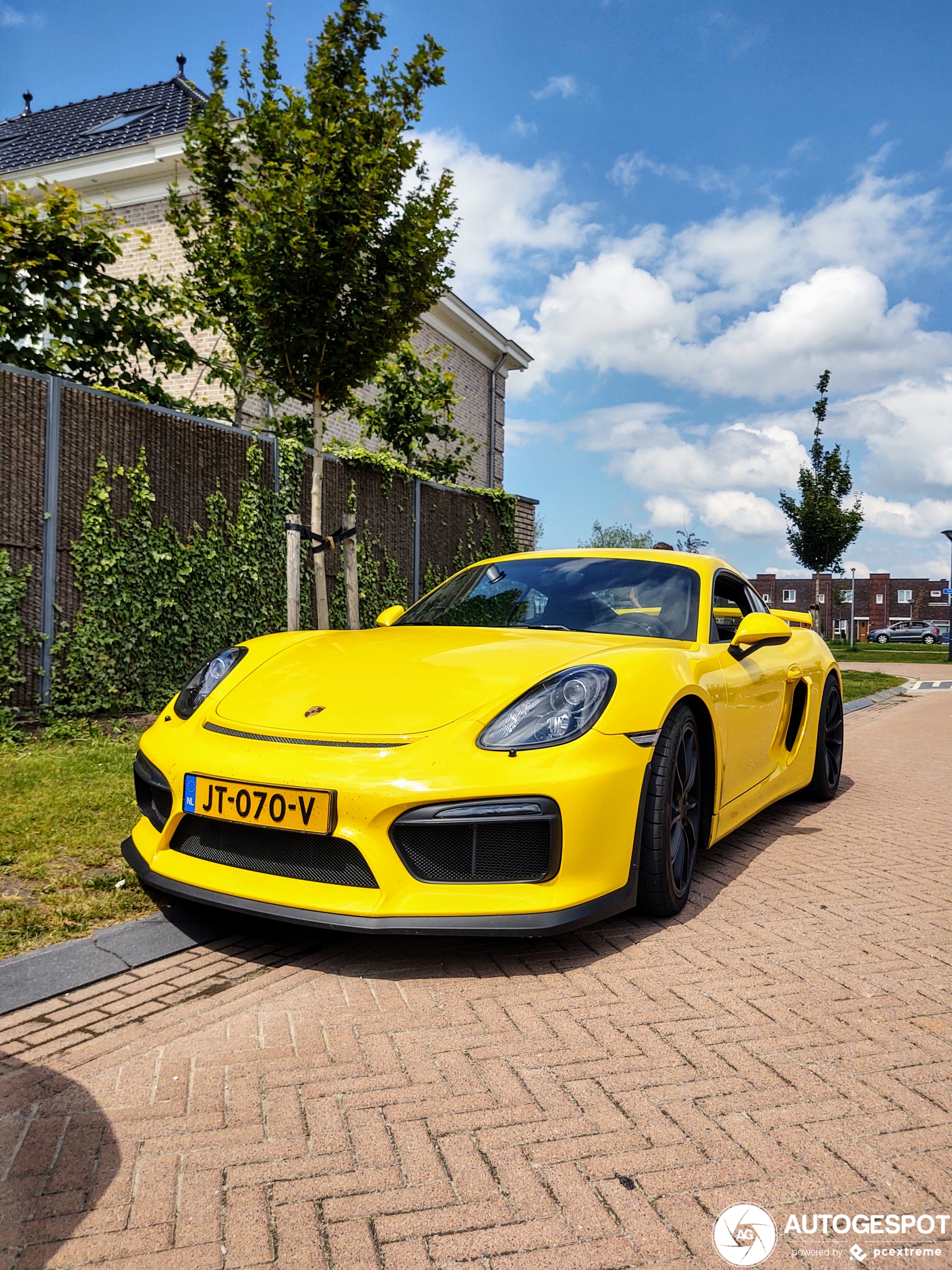 Porsche 981 Cayman GT4