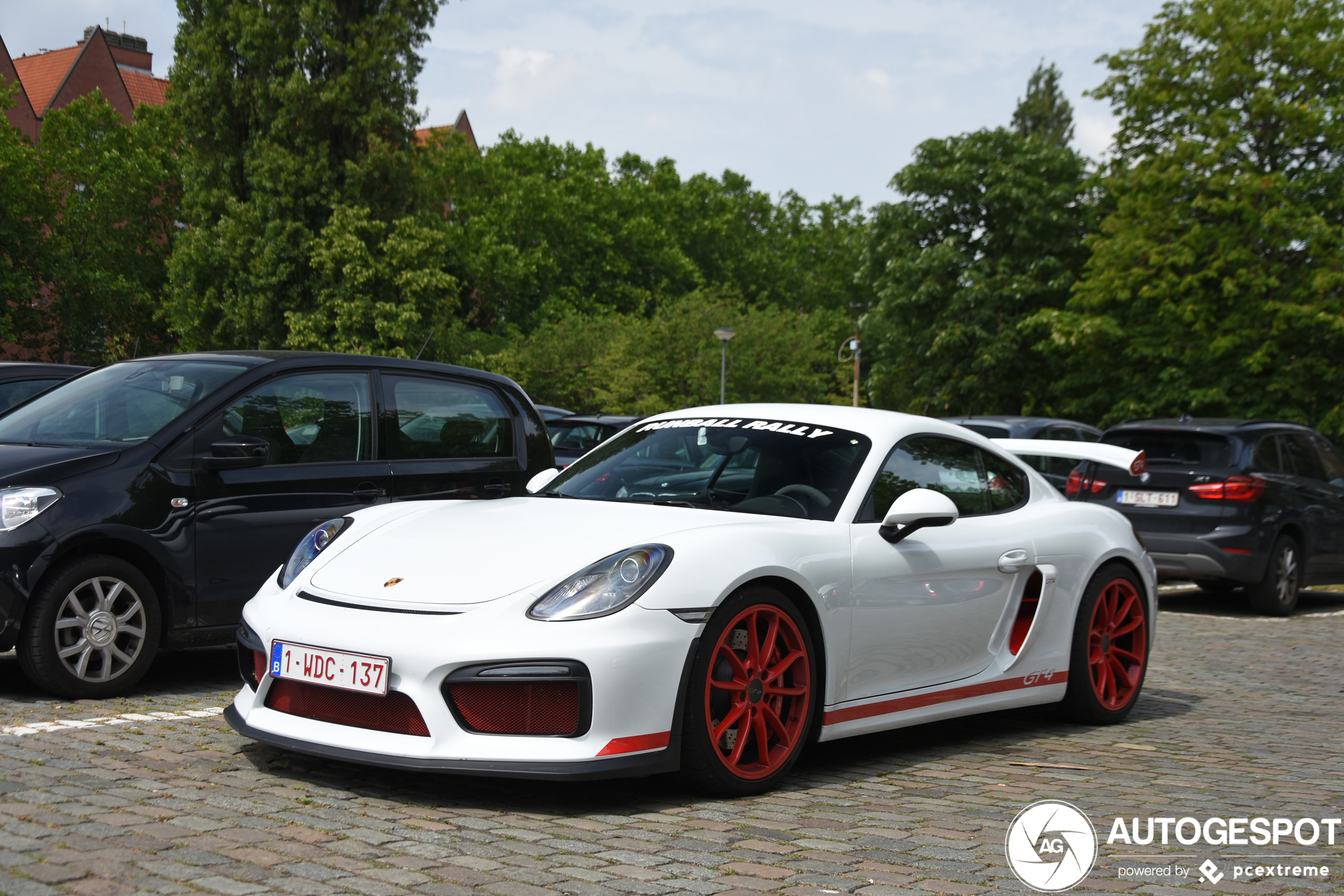 Porsche 981 Cayman GT4