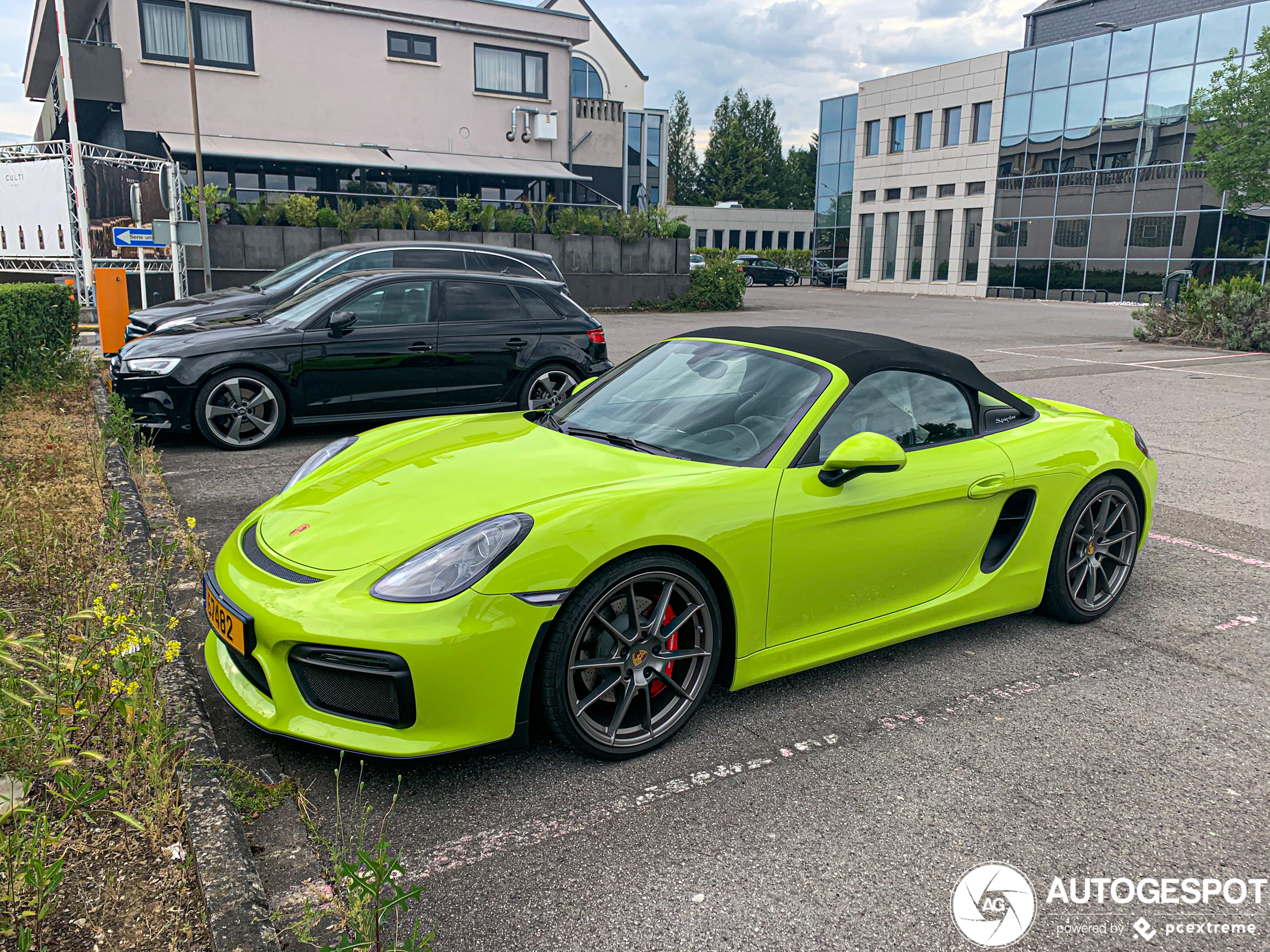 Porsche 981 Boxster Spyder