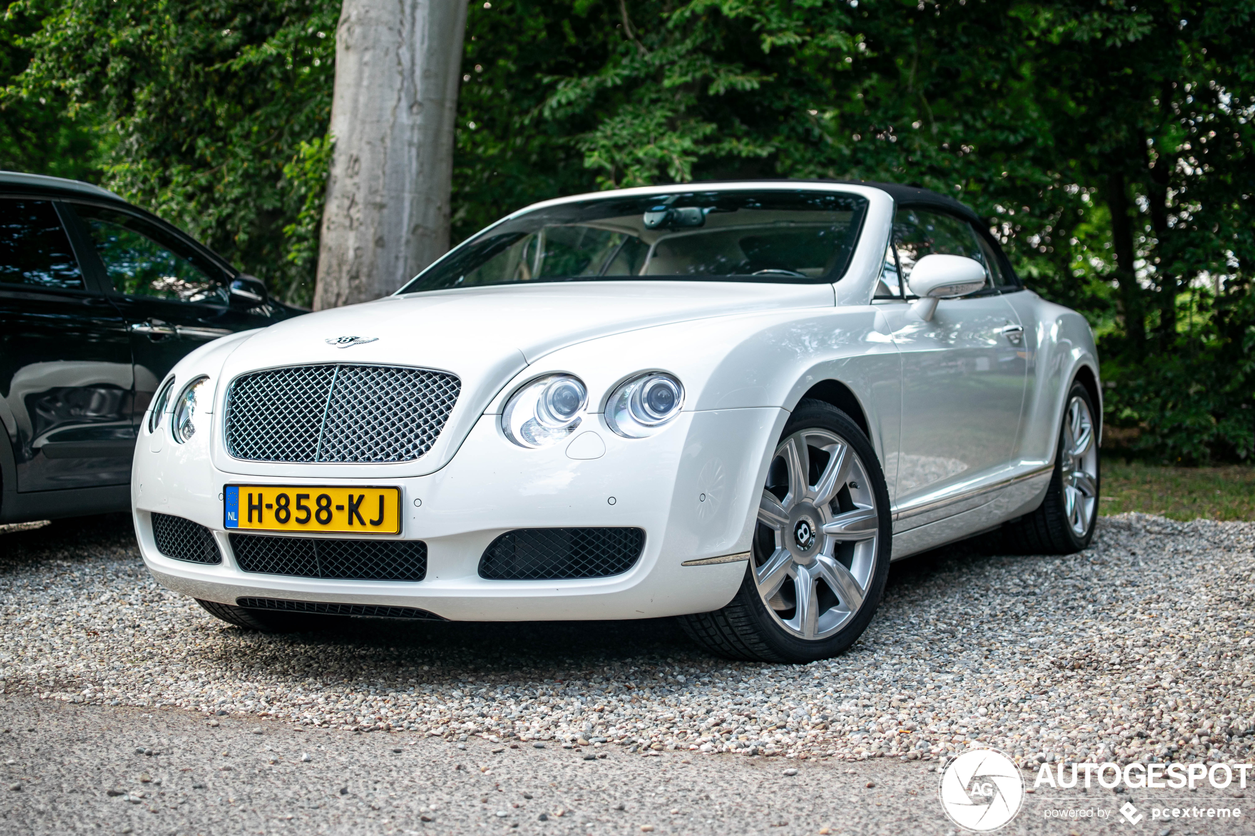 Bentley Continental GTC