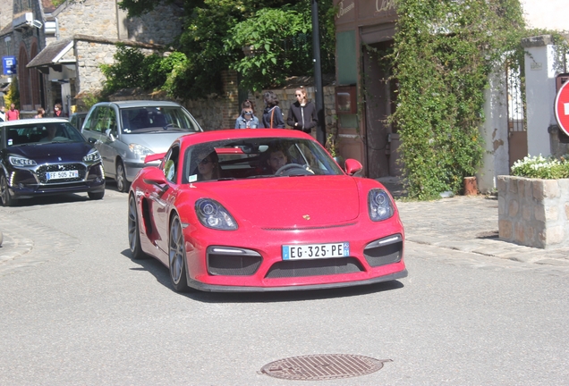 Porsche 981 Cayman GT4