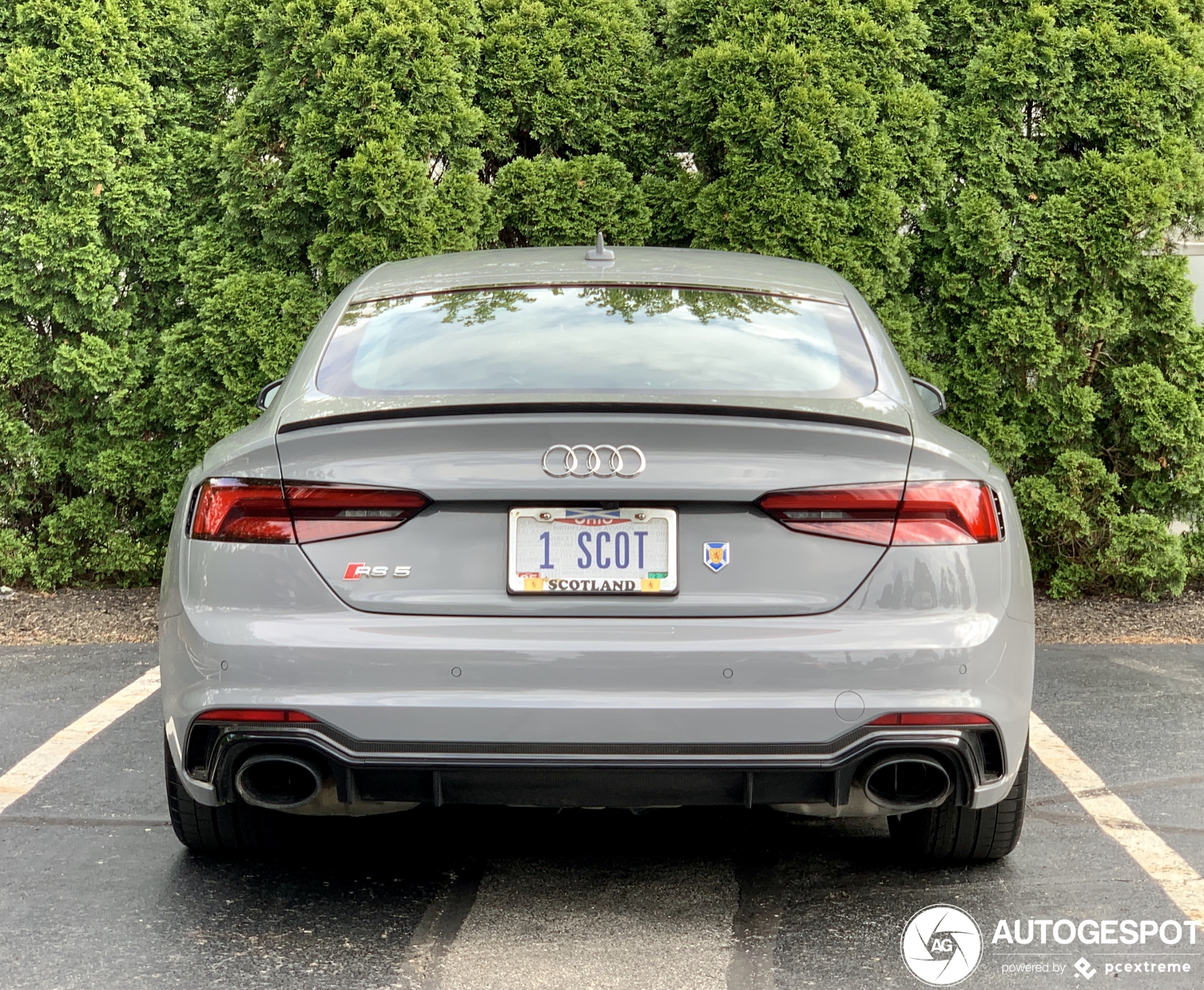 Audi RS5 Sportback B9