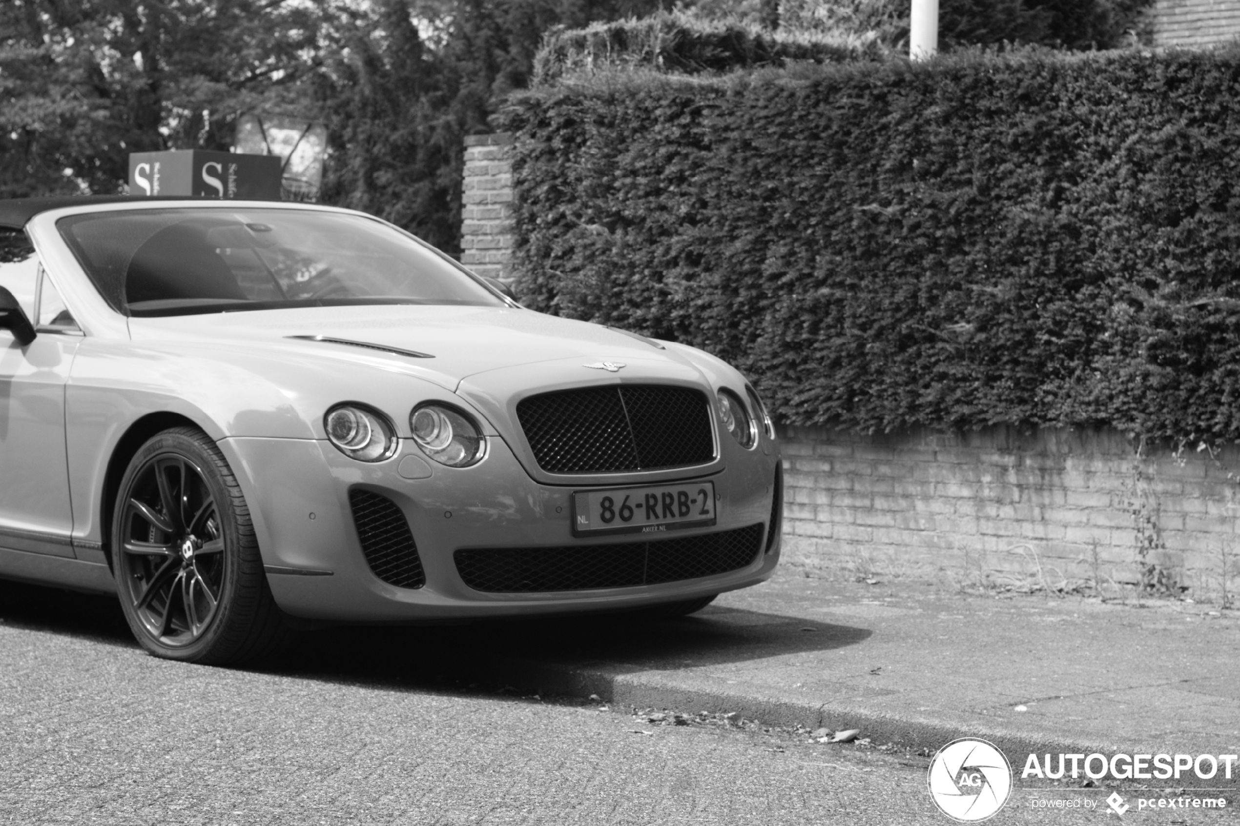 Bentley Continental Supersports Convertible