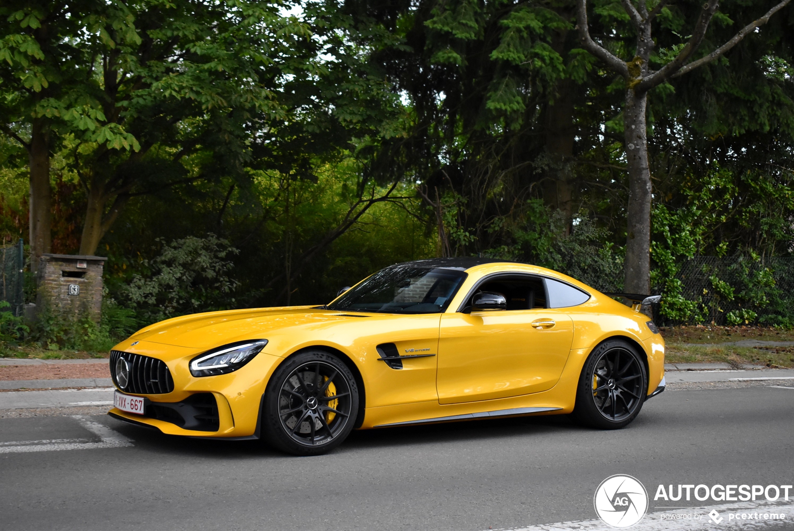 Mercedes-AMG GT R C190 2019