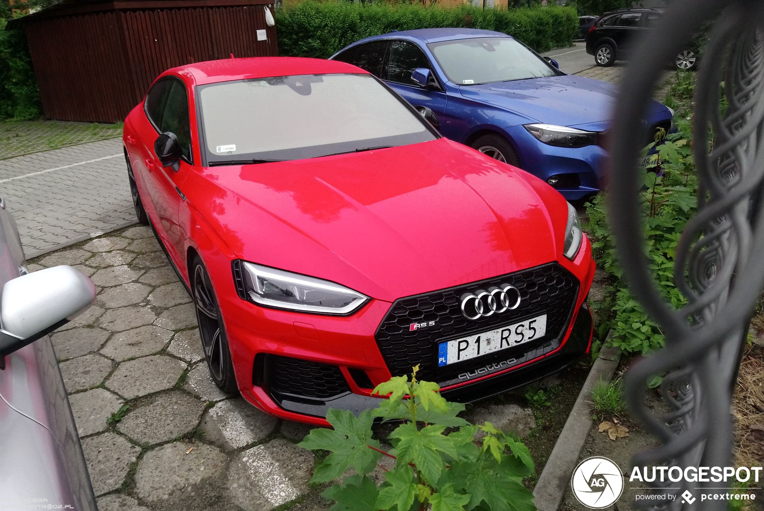 Audi RS5 Sportback B9