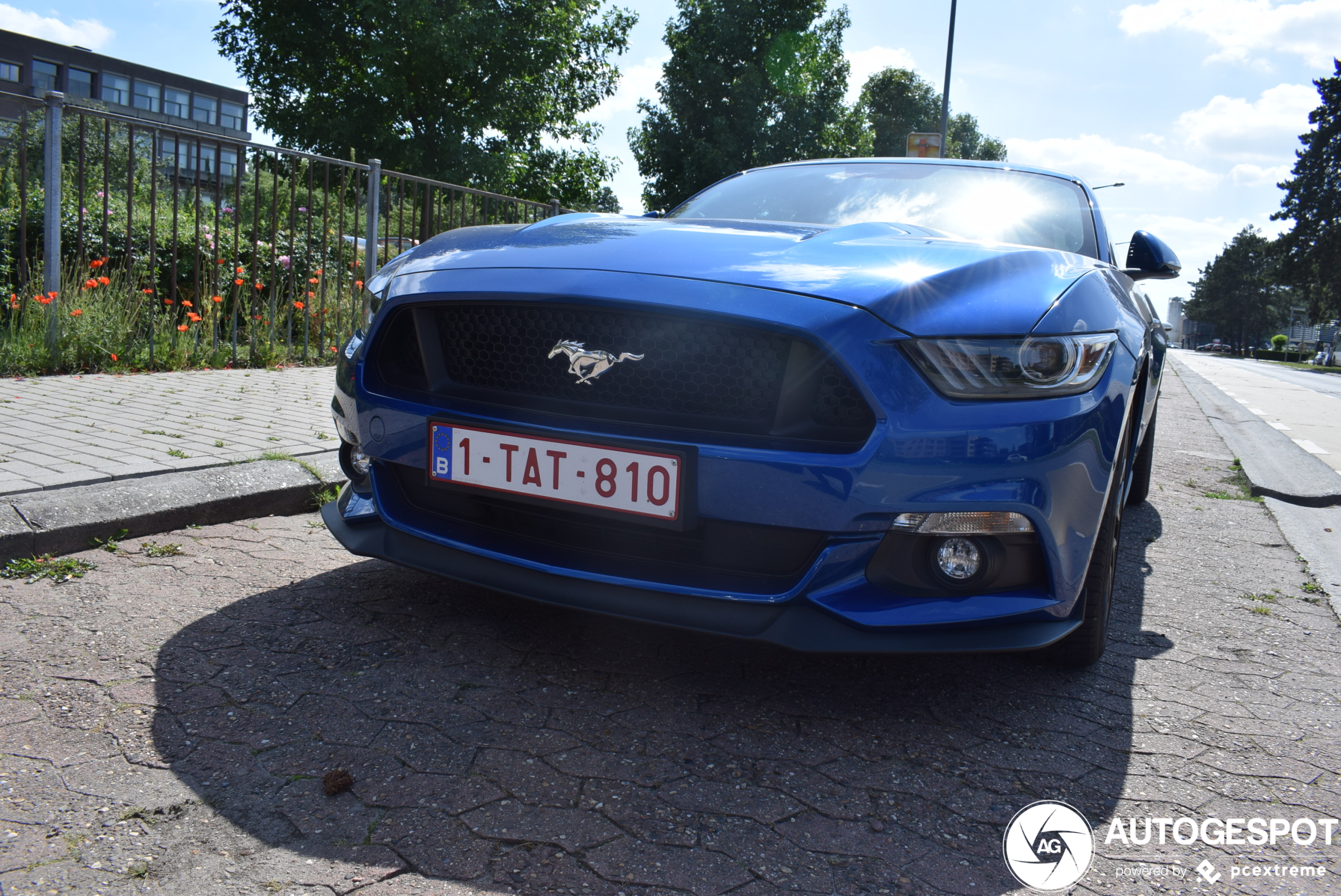 Ford Mustang GT 2015