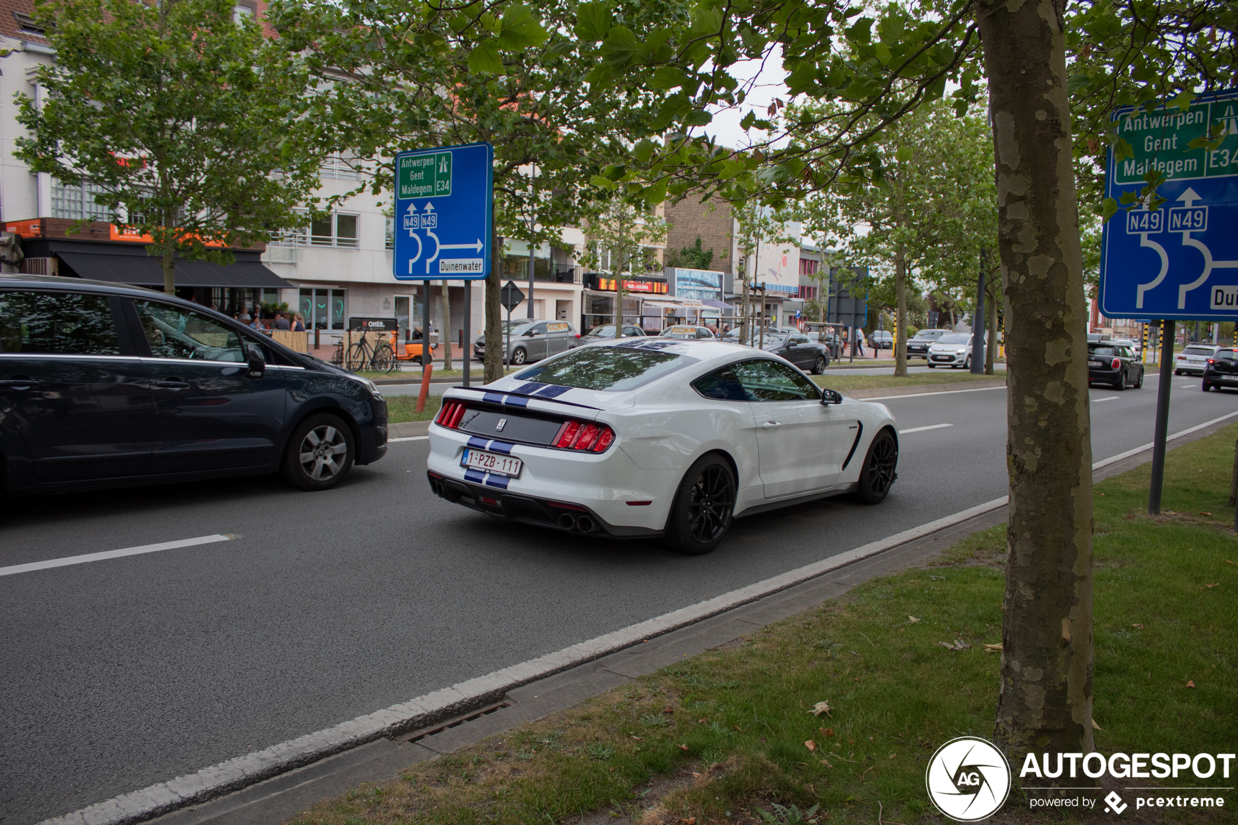 Ford Mustang Shelby GT350 2015