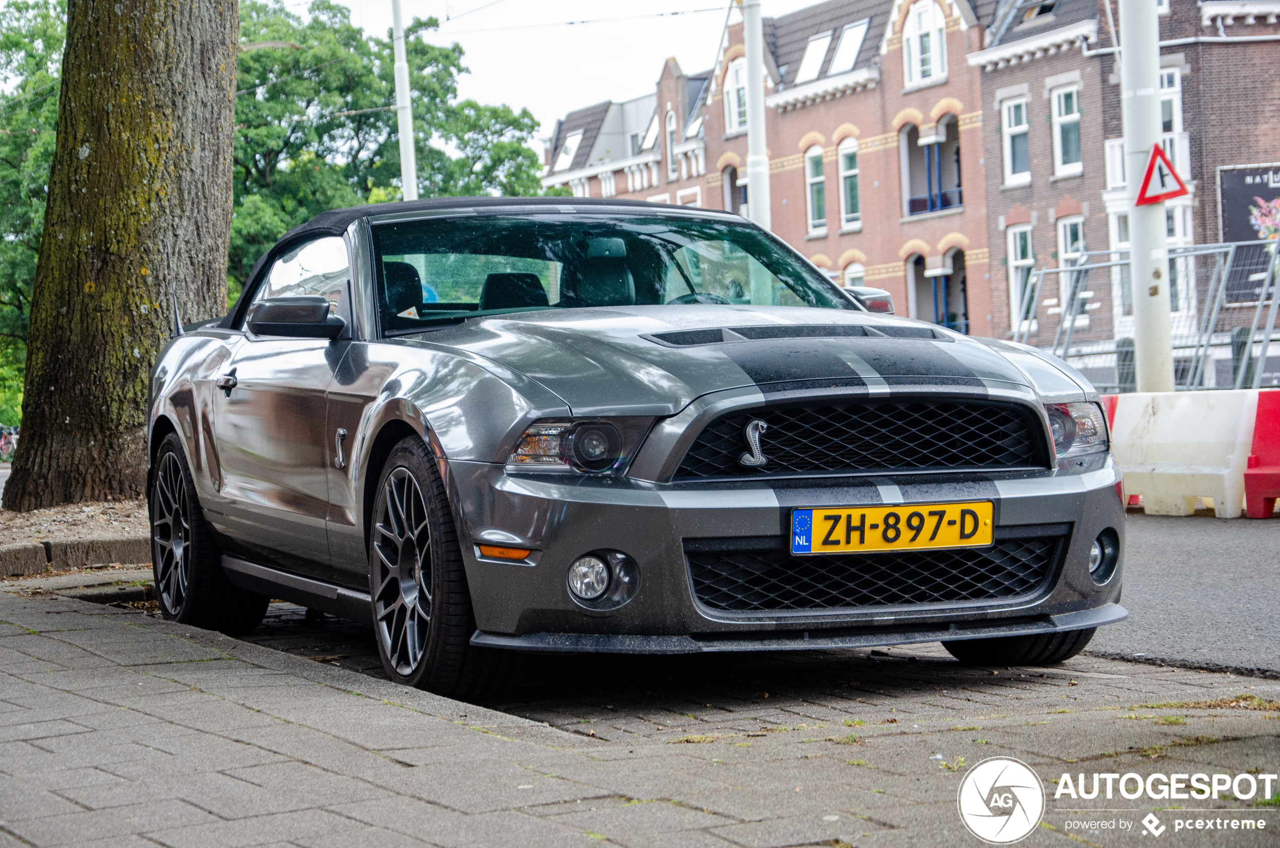 Ford Mustang Shelby GT500 Convertible 2010