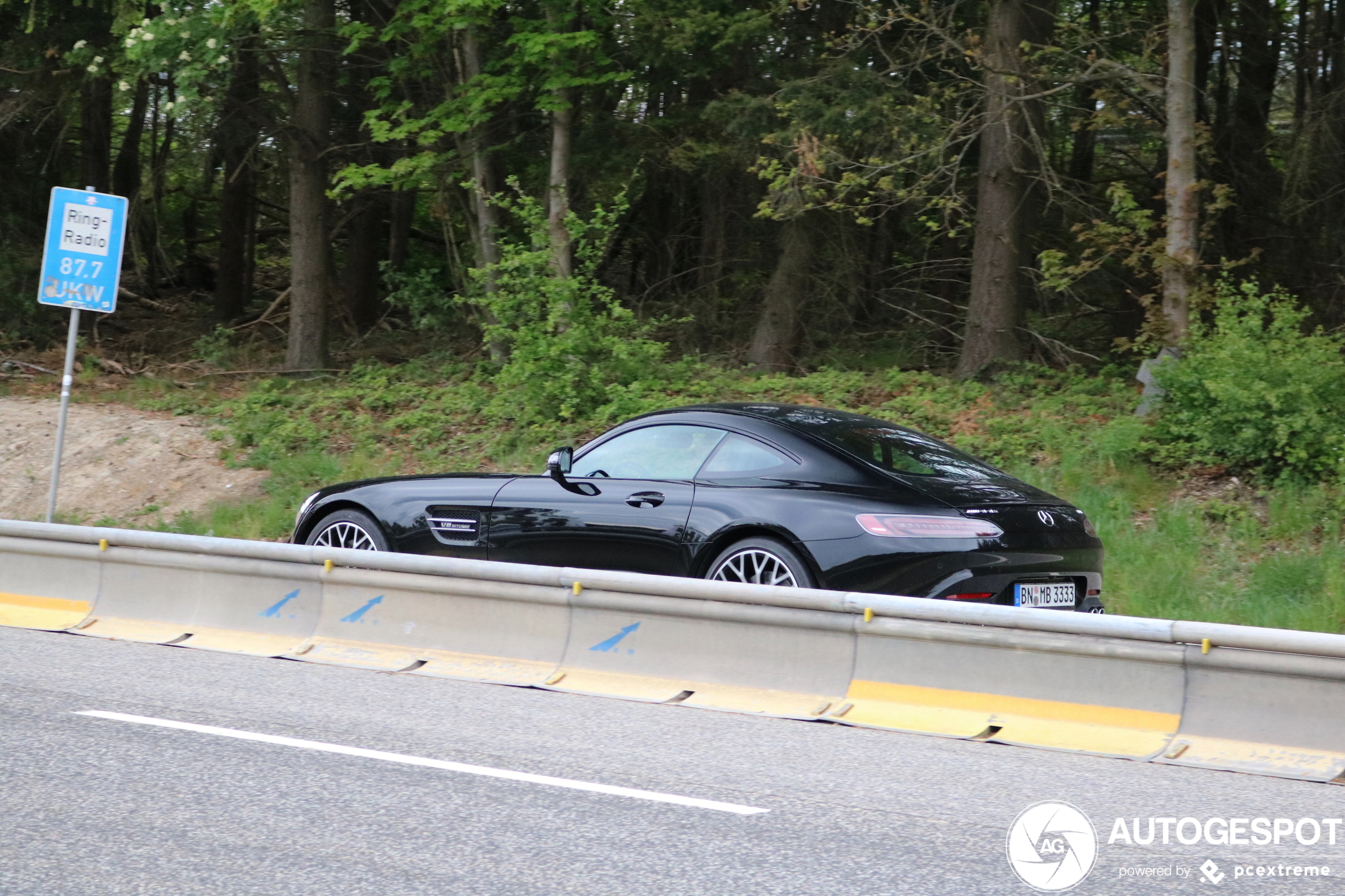 Mercedes-AMG GT C190 2019