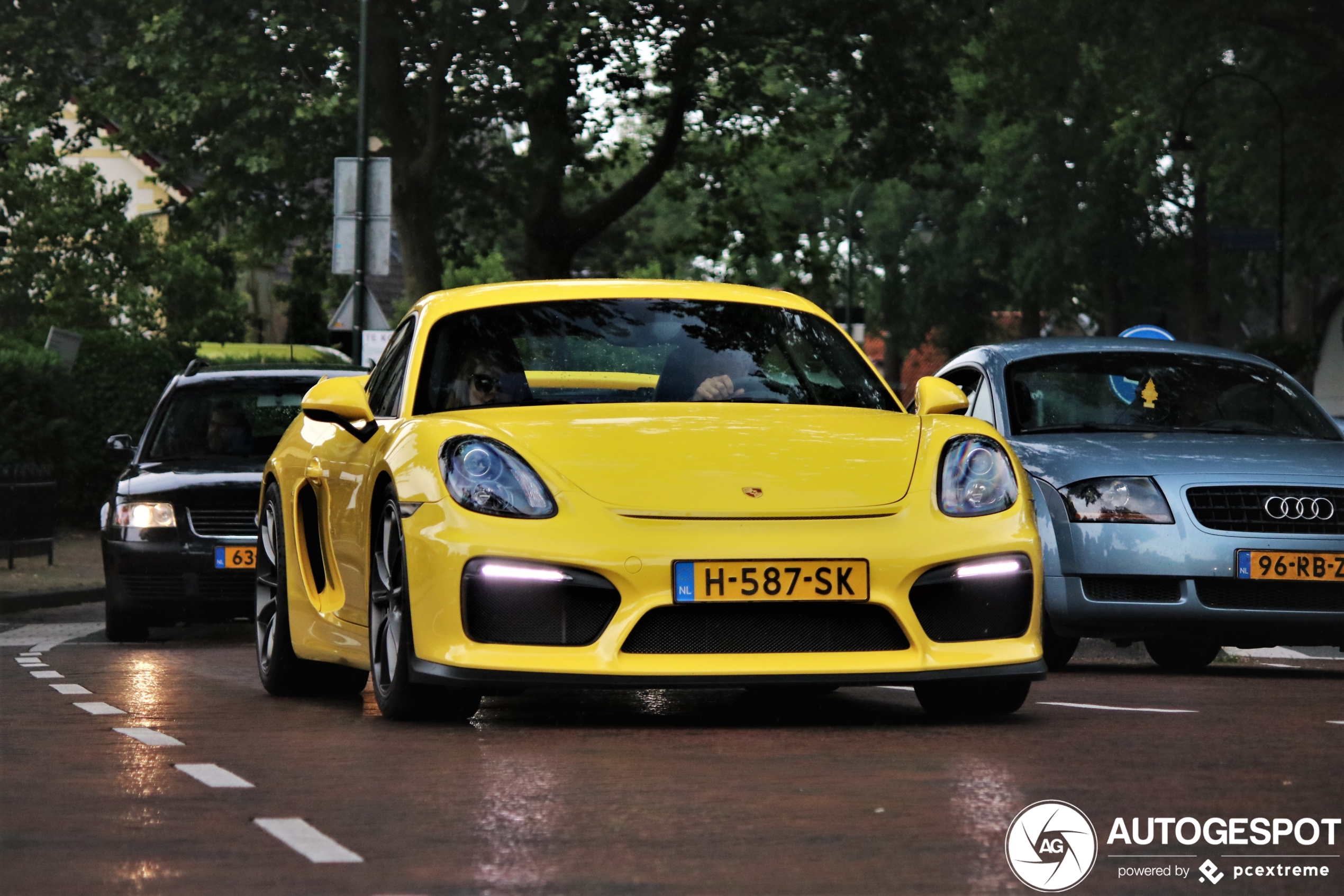 Porsche 981 Cayman GT4