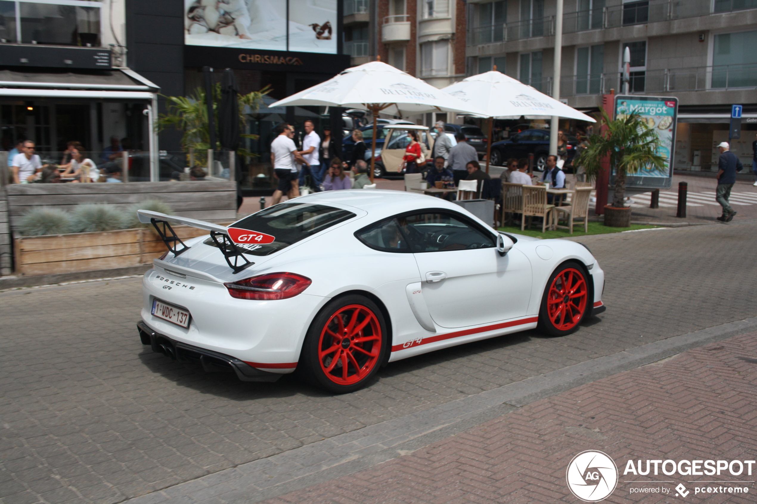 Porsche 981 Cayman GT4