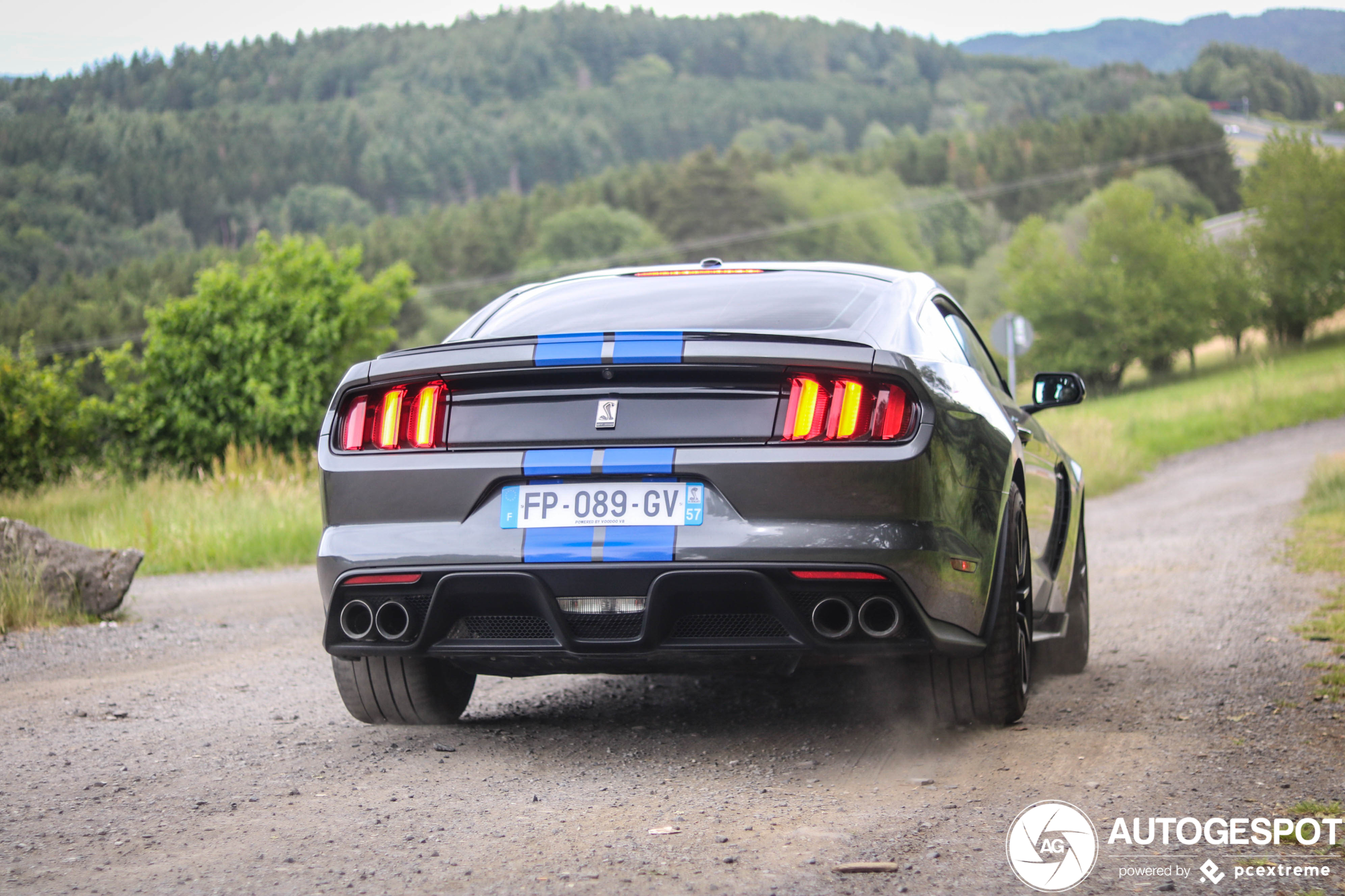 Ford Mustang Shelby GT350 2015