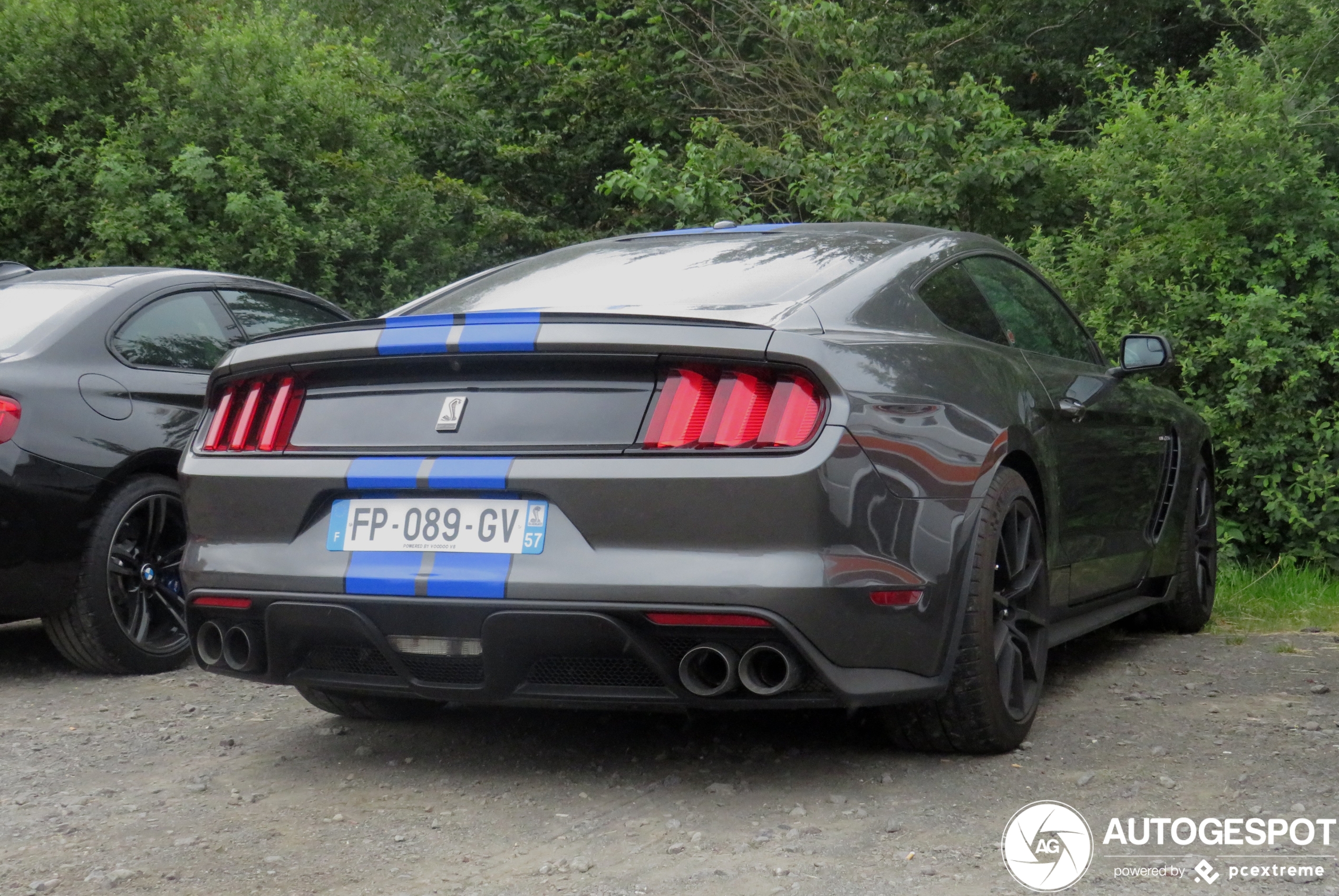 Ford Mustang Shelby GT350 2015