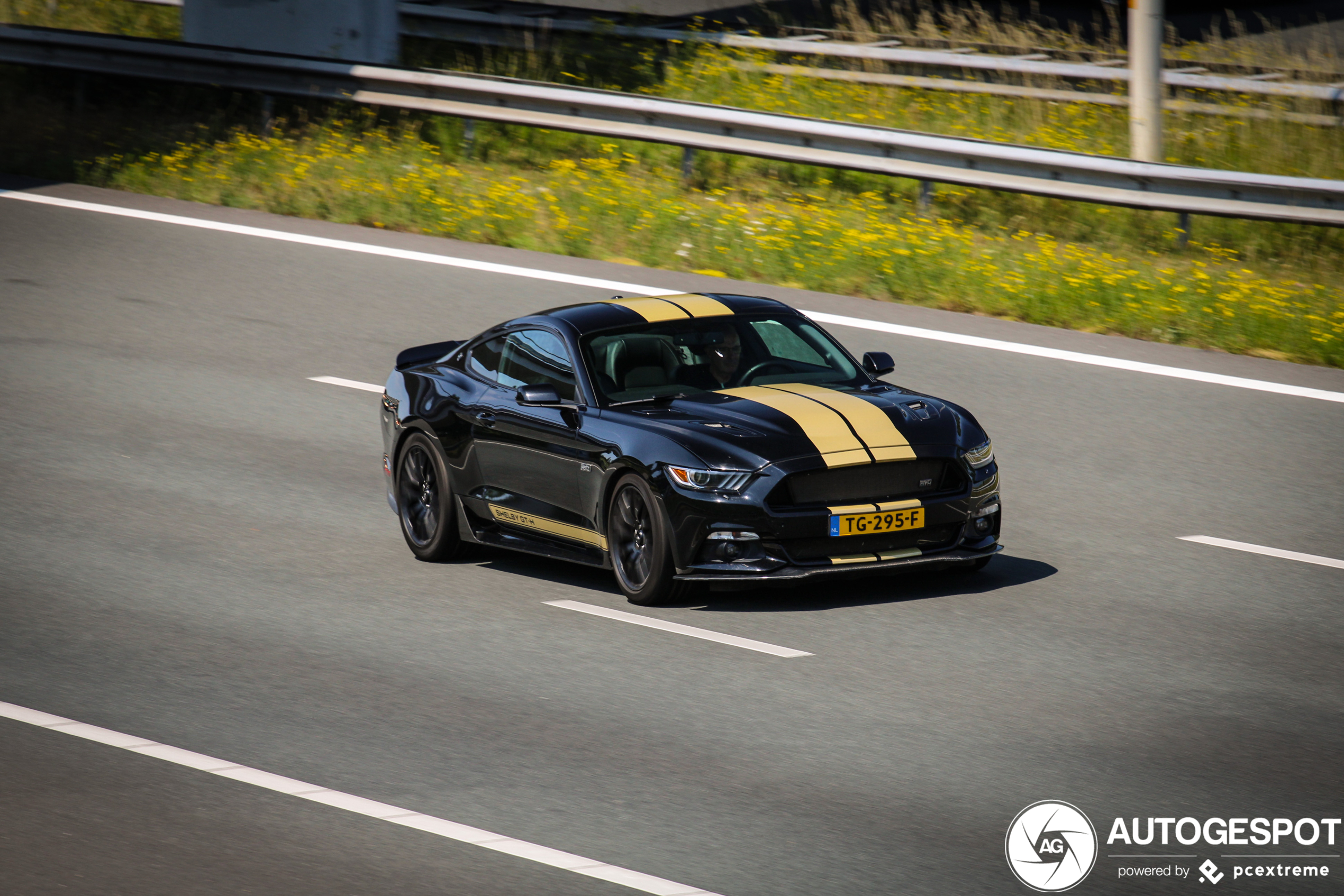 Ford Mustang Shelby GT-H 2016